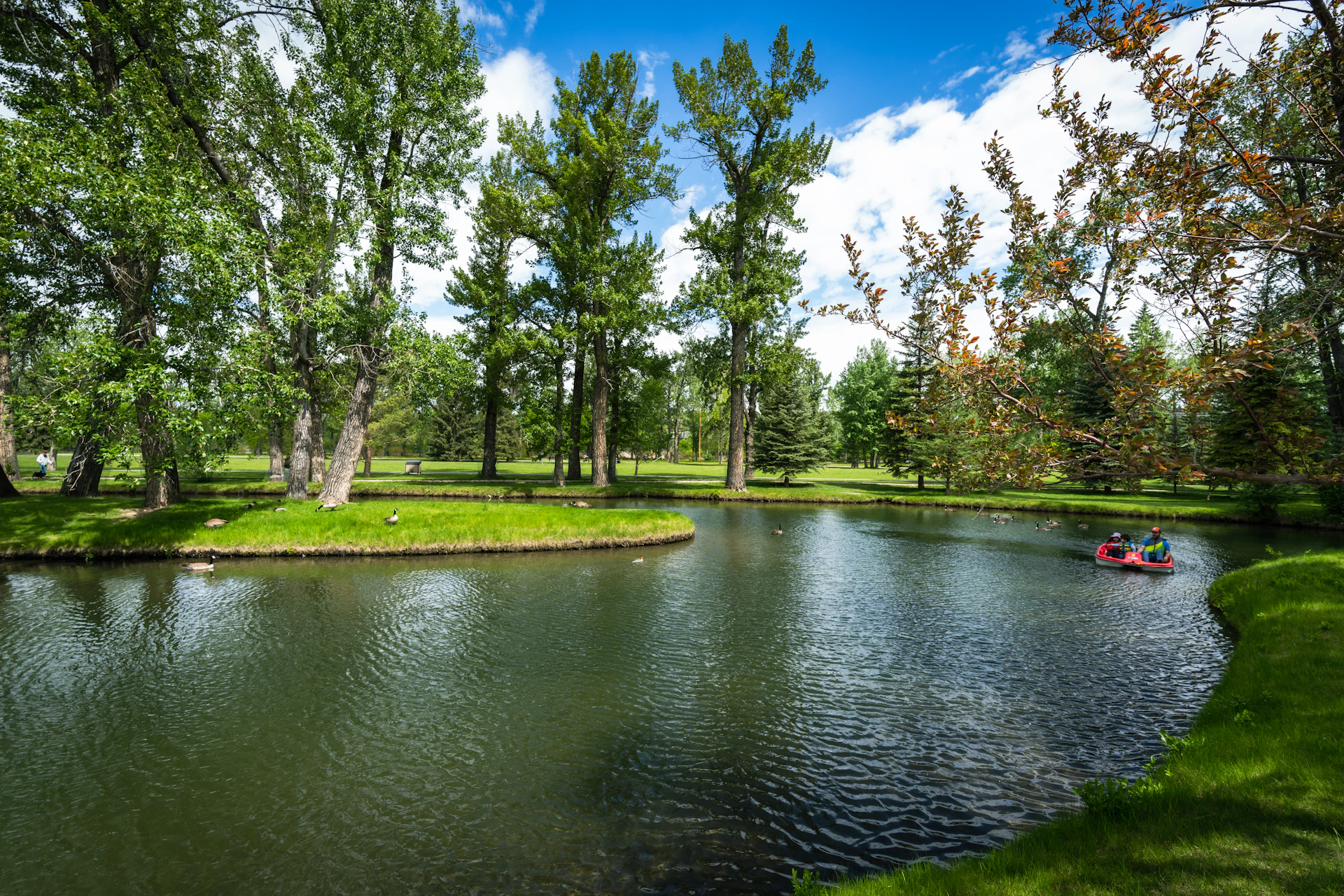 A river running through a lush green park