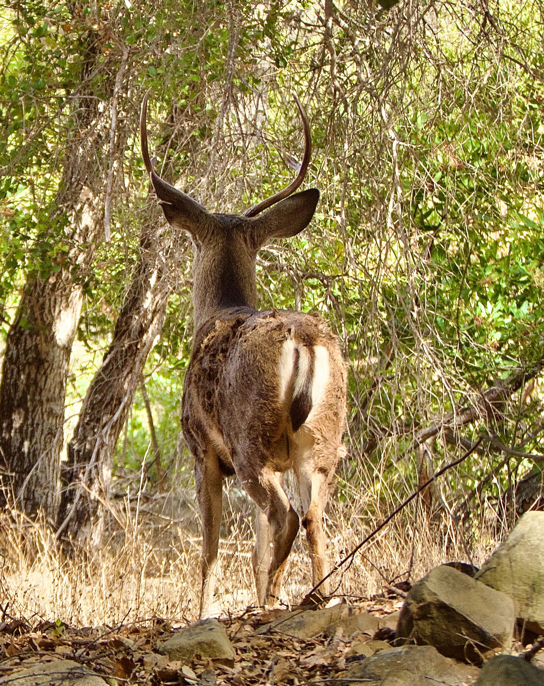 Photo by catycatjean