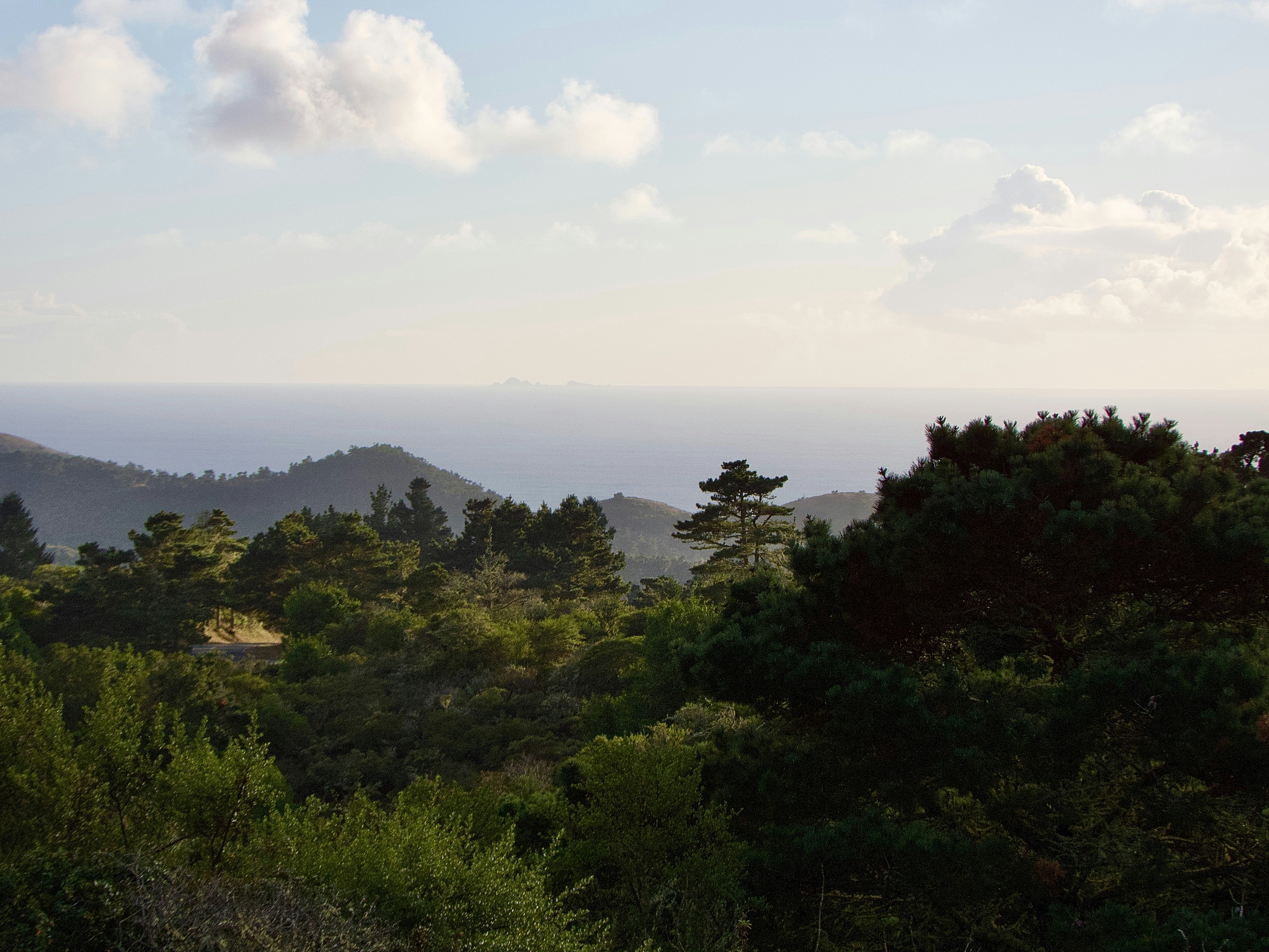 Photo by catycatjean