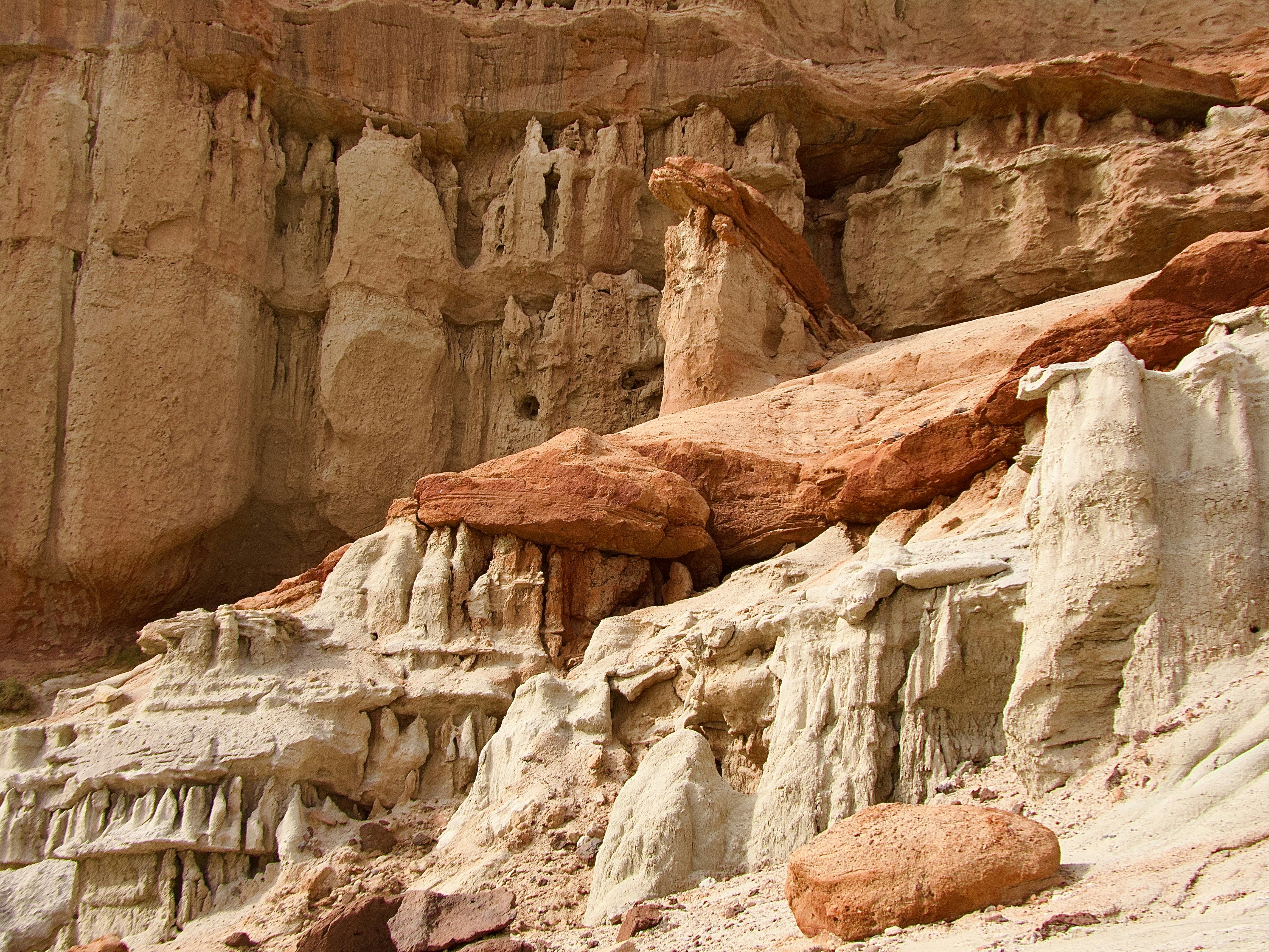 Photo by catycatjean