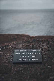 A memorial plaque sitting on top of a rock near the ocean
