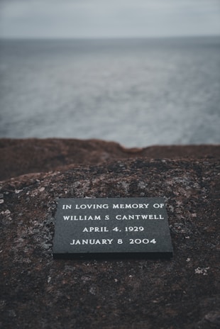A memorial plaque sitting on top of a rock near the ocean