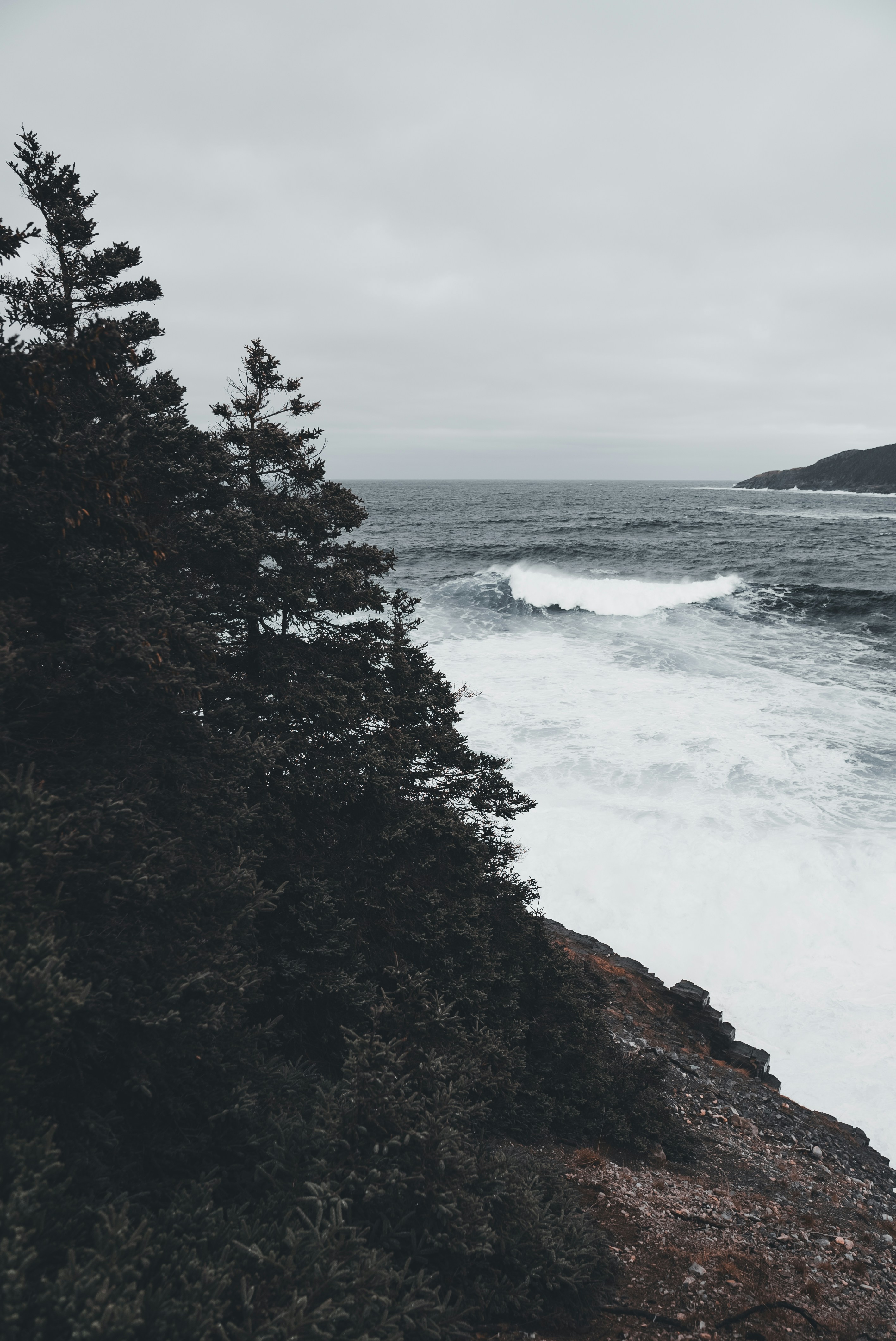 Photo by introspectivedsgn