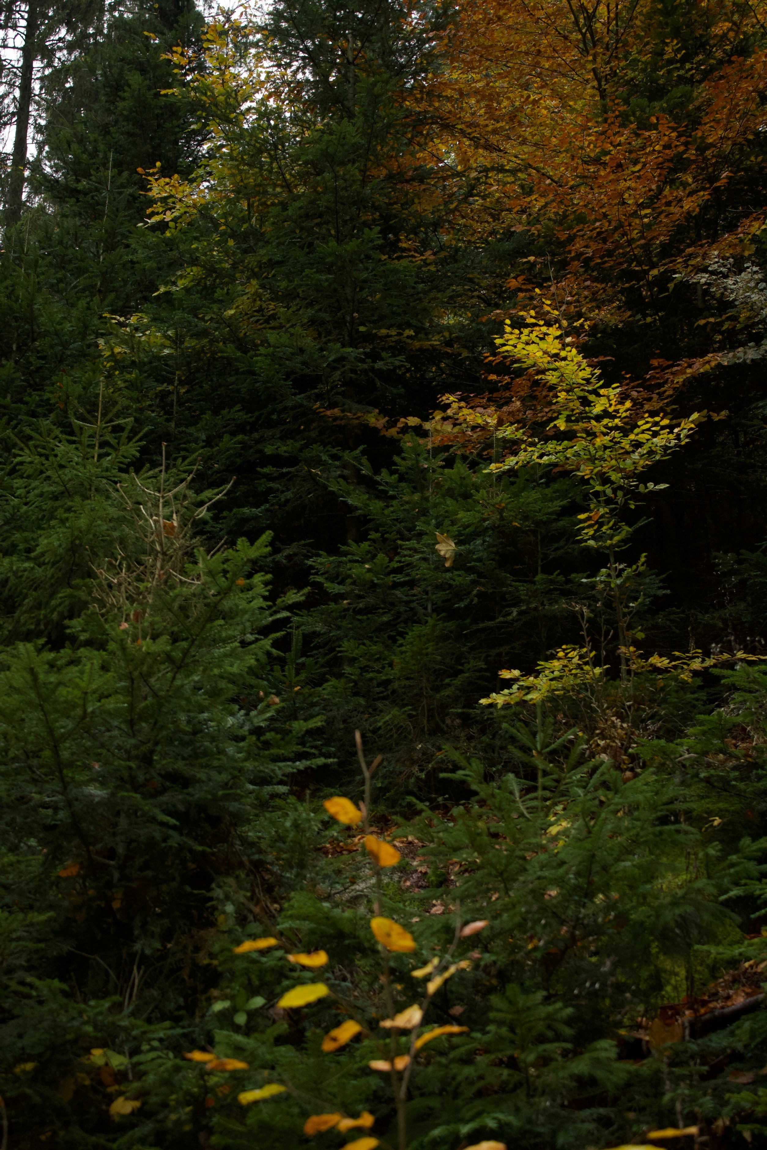 Photo by mihaelstojcevic