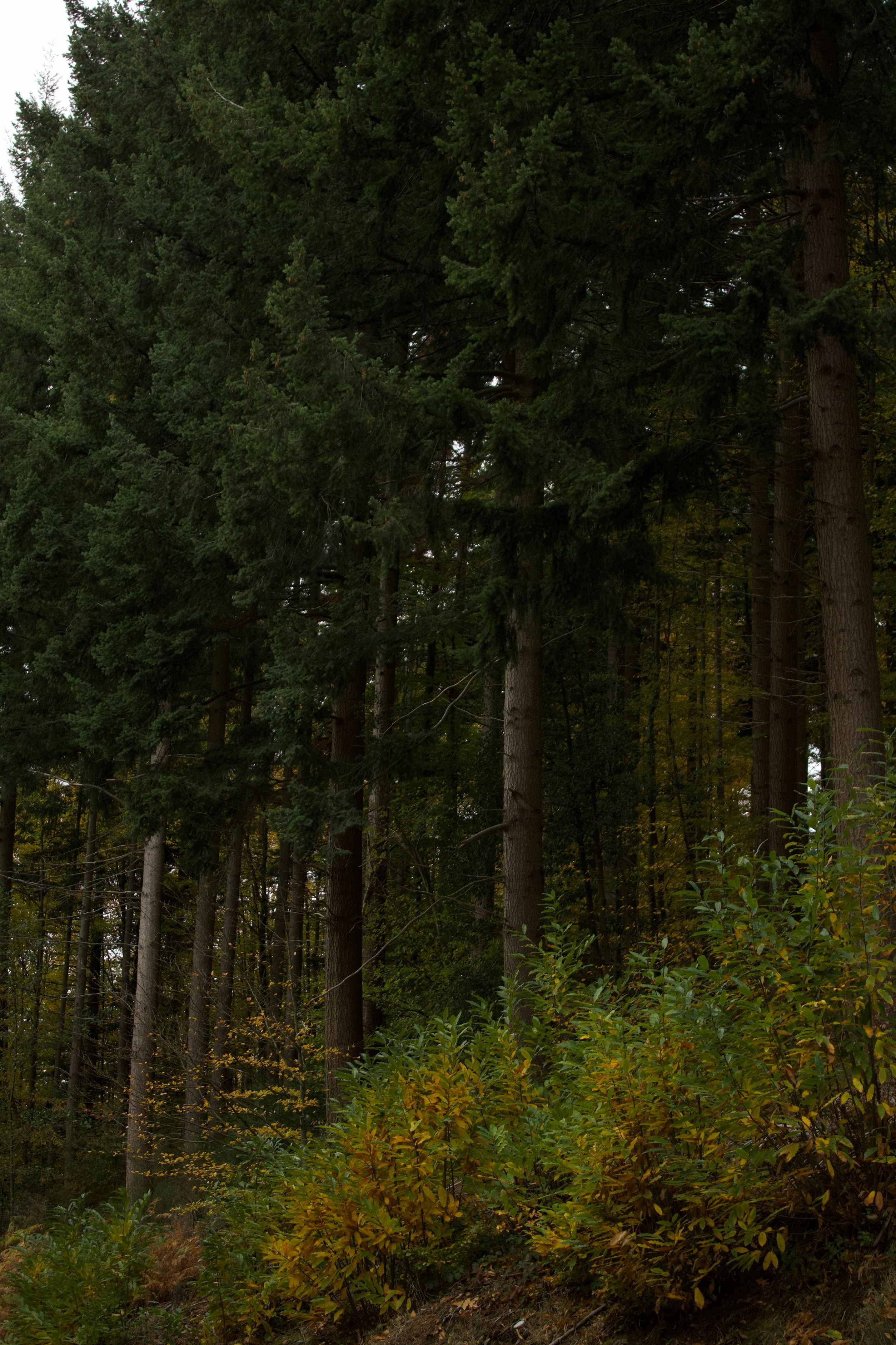 Photo by mihaelstojcevic