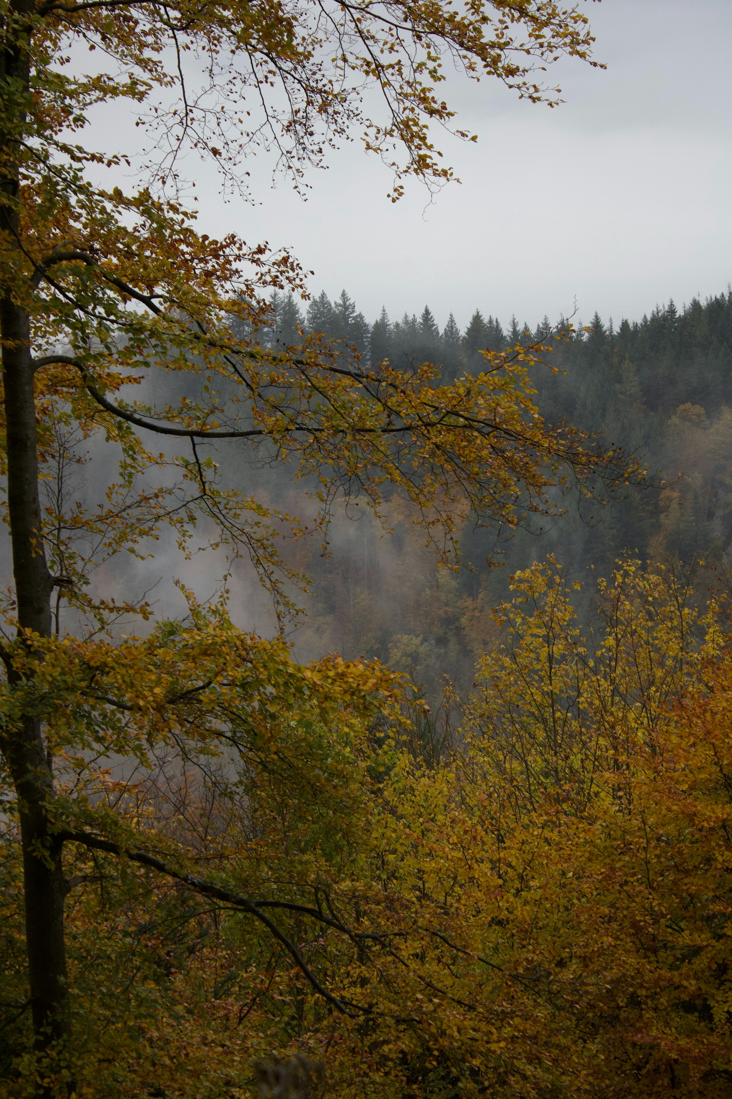 Photo by mihaelstojcevic