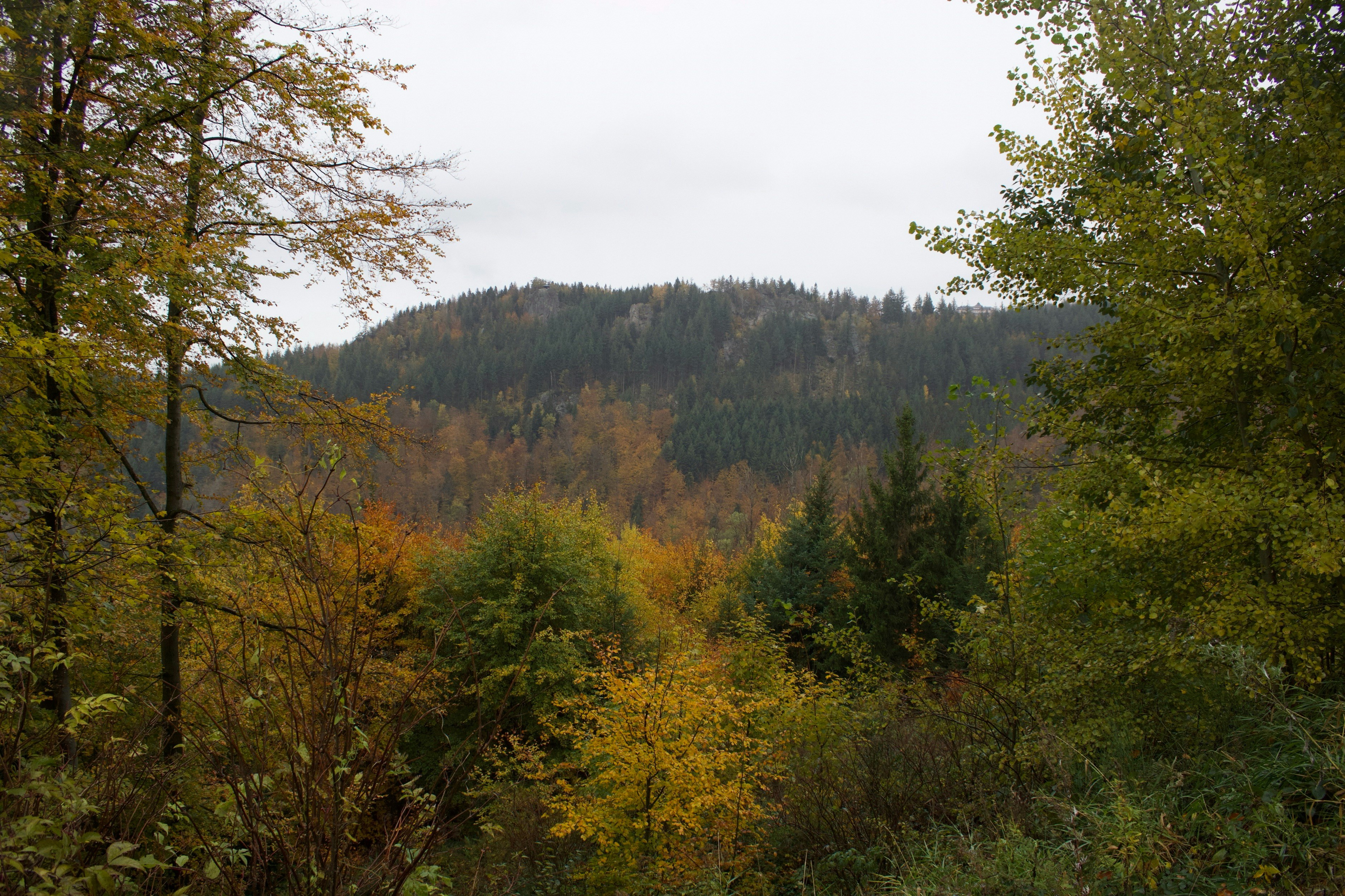 Photo by mihaelstojcevic