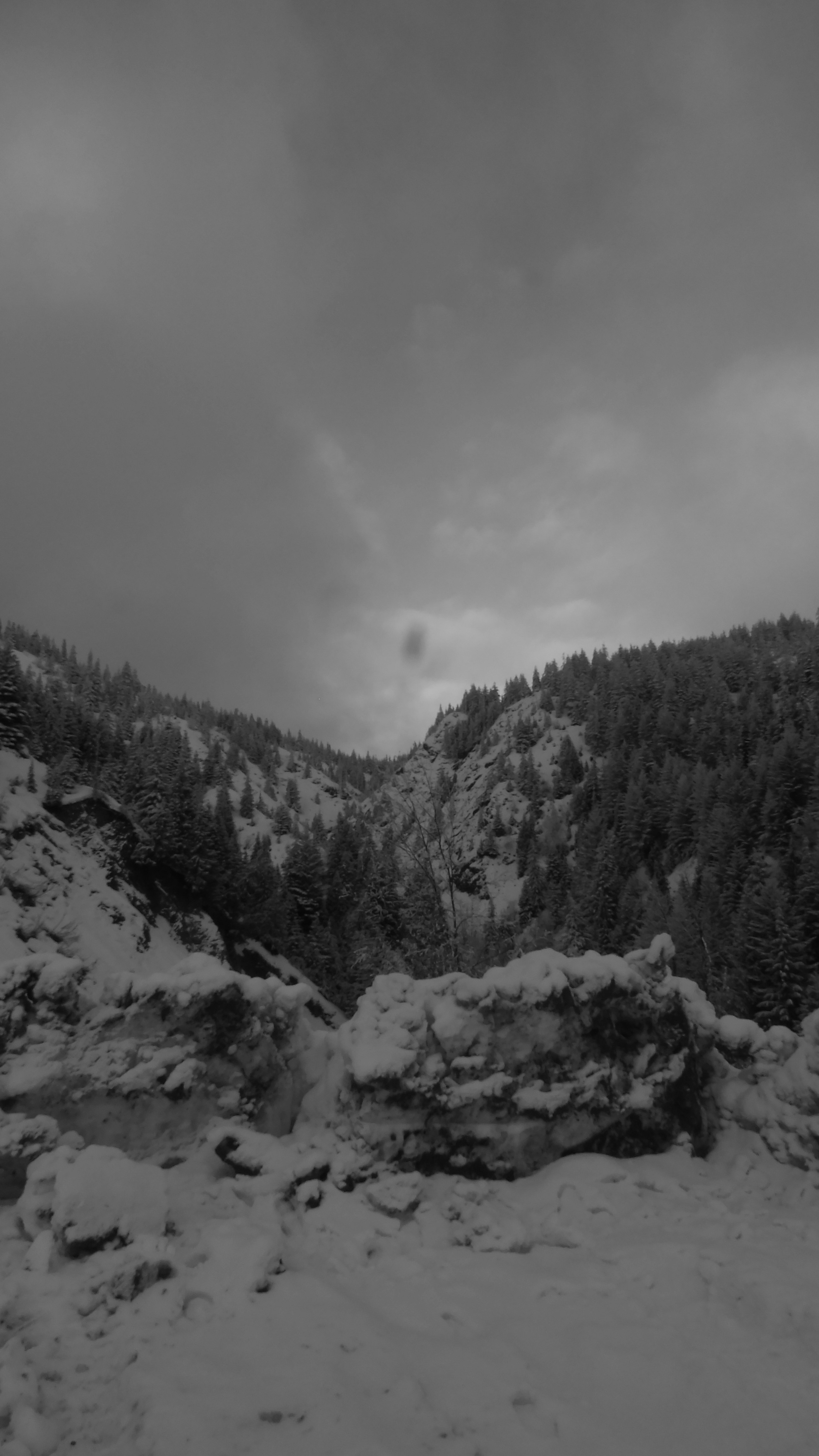 Photo by dylanrichard