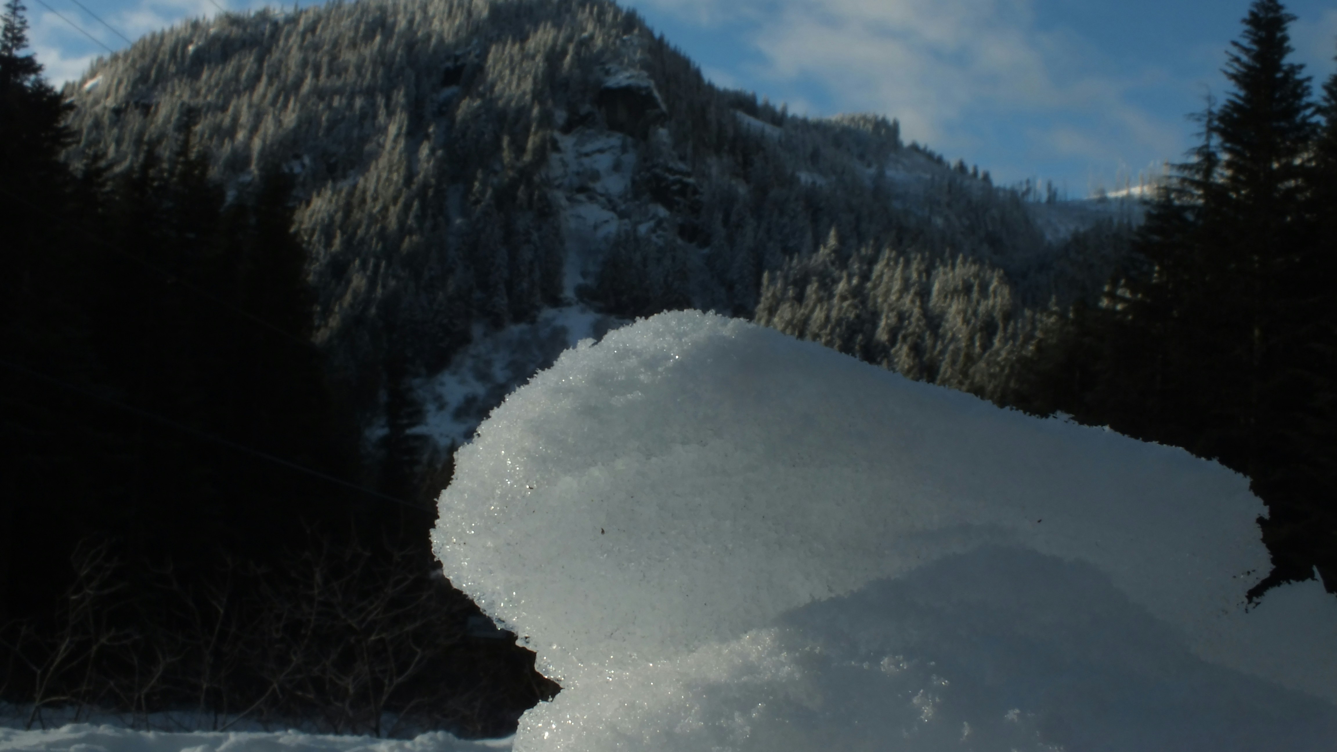 Photo by dylanrichard