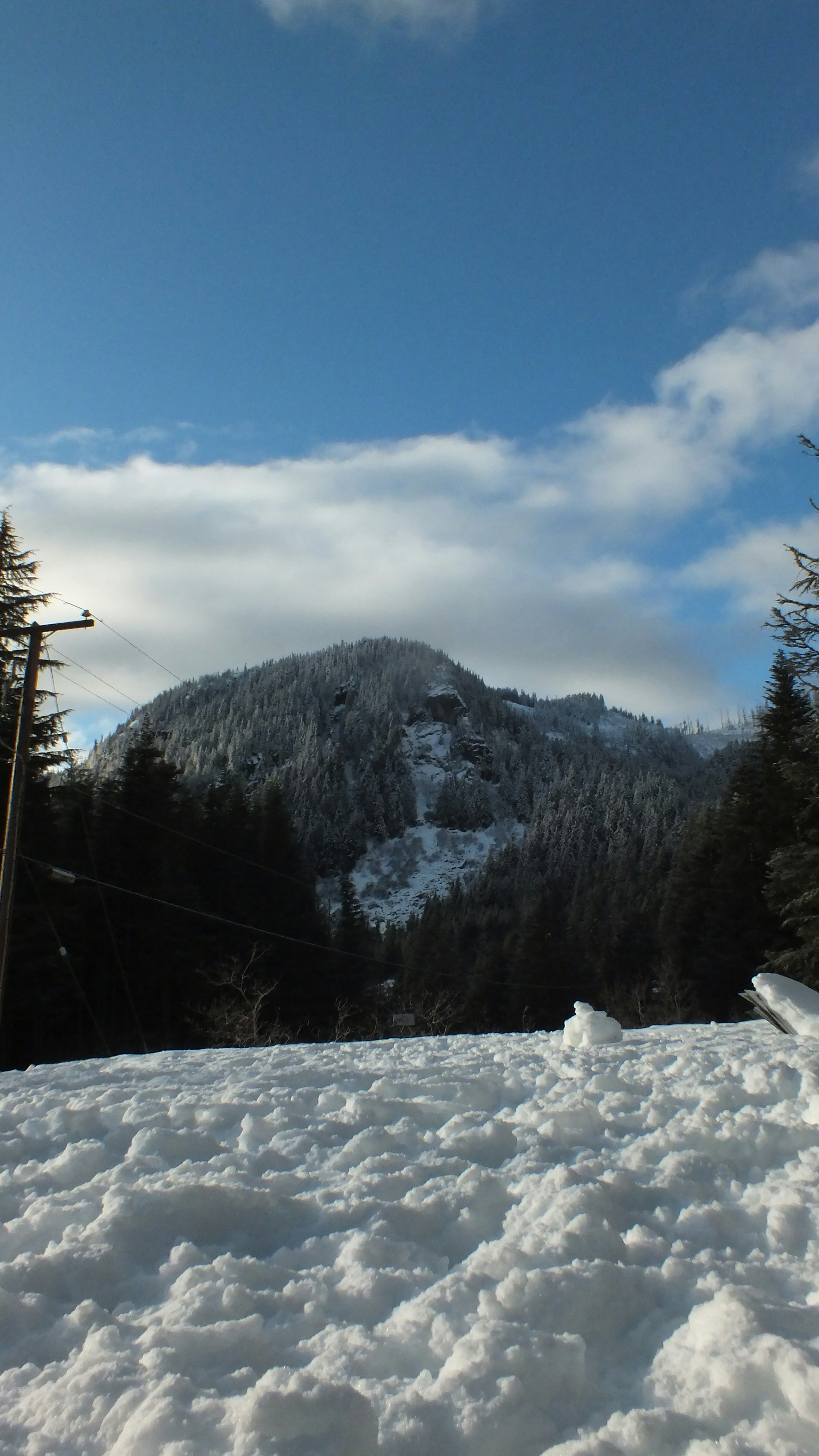 Photo by dylanrichard