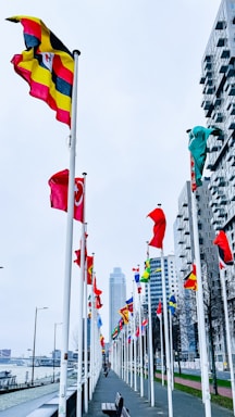 A walkway lined with lots of flags next to tall buildings