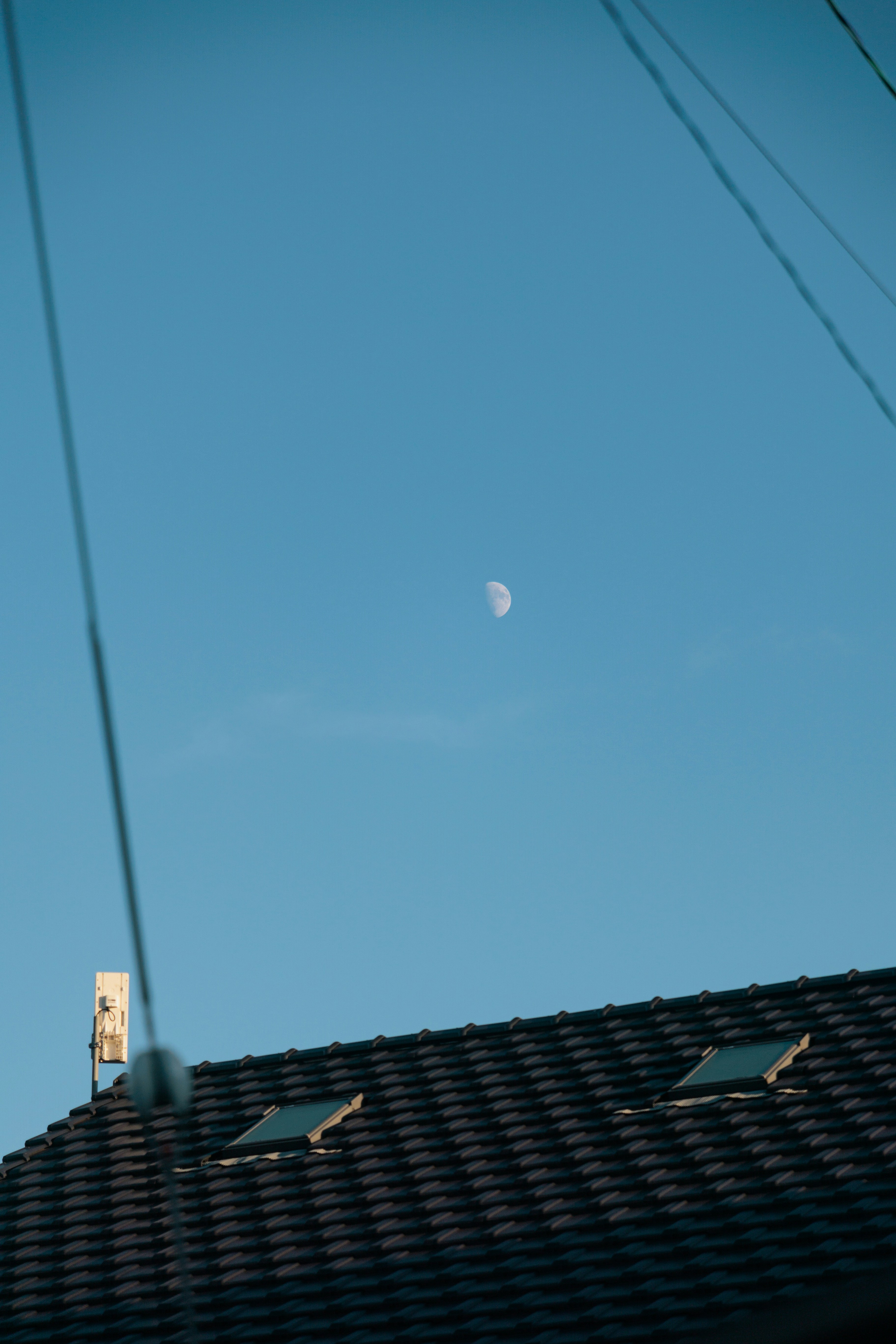 Photo by gakusuyama