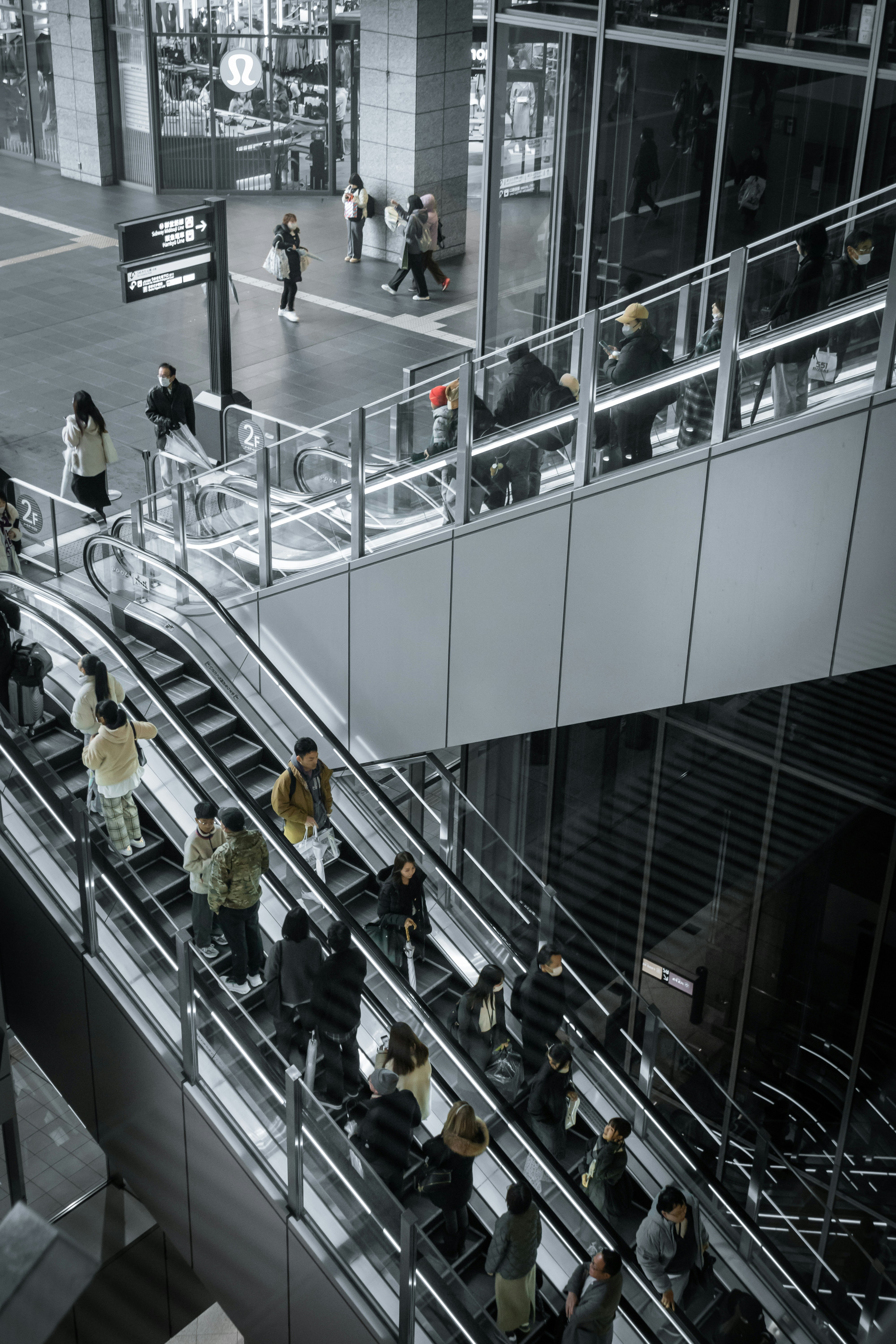 Photo by horseratbros