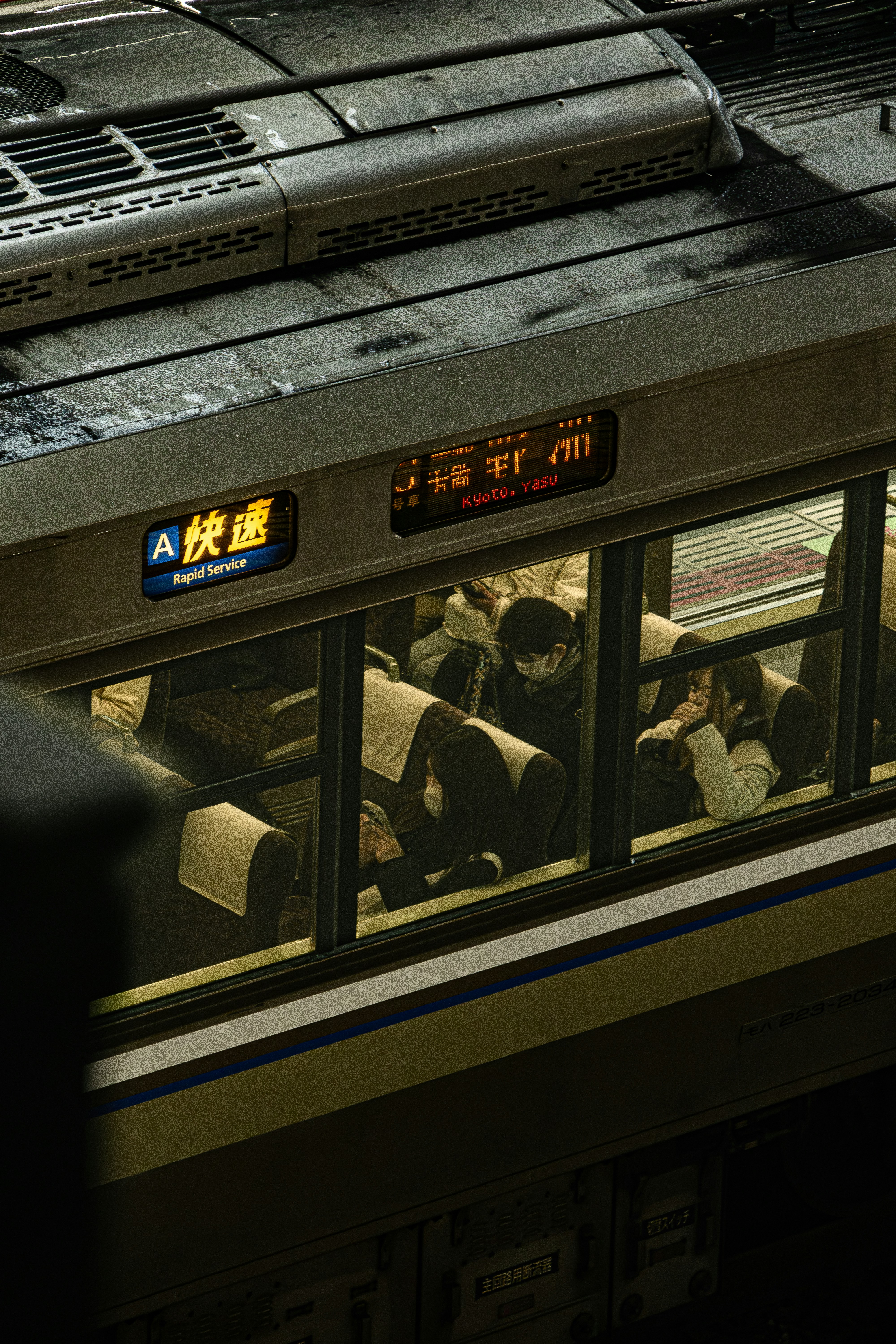 Photo by horseratbros