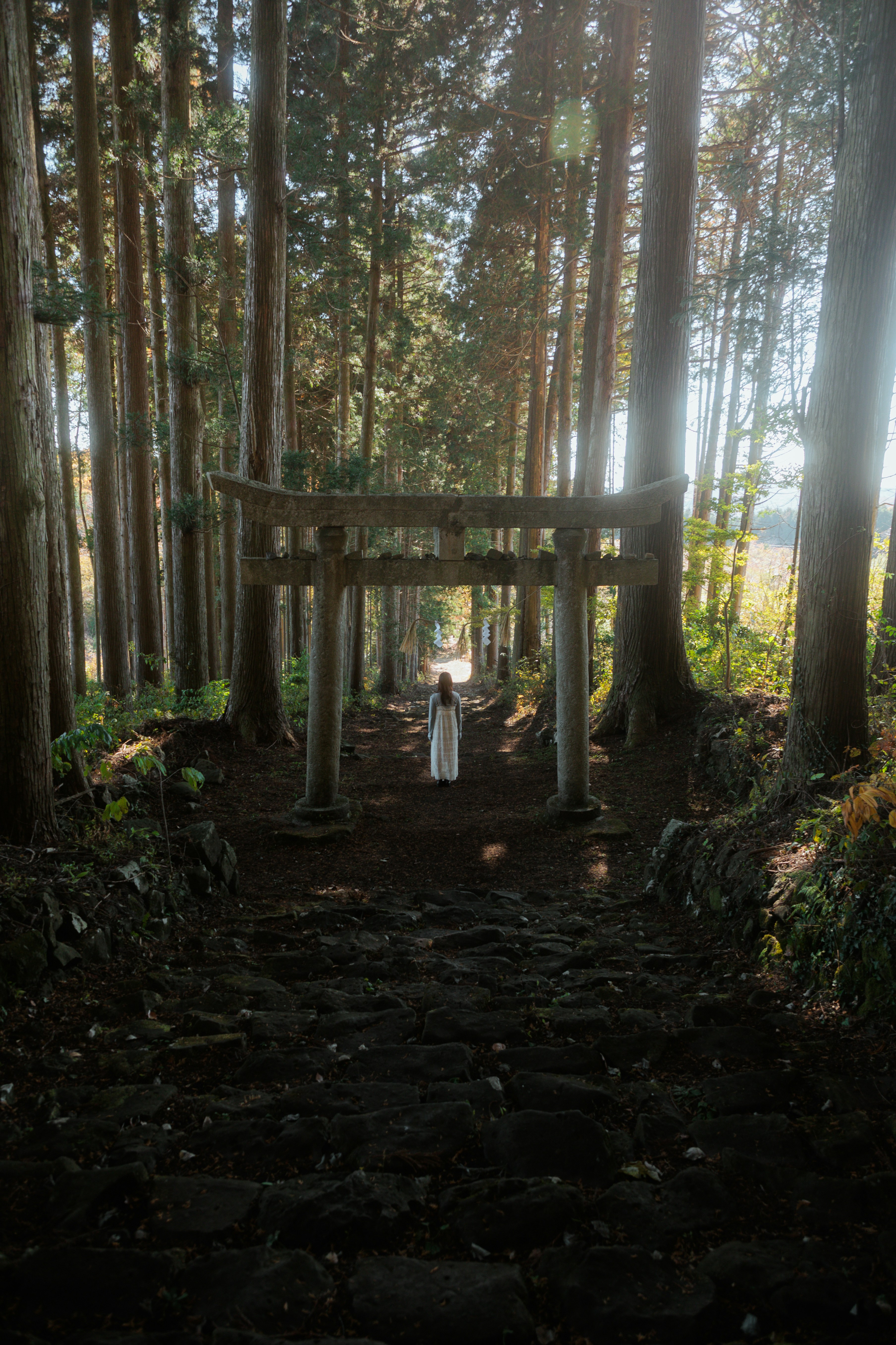 Zen Meditation in Nature