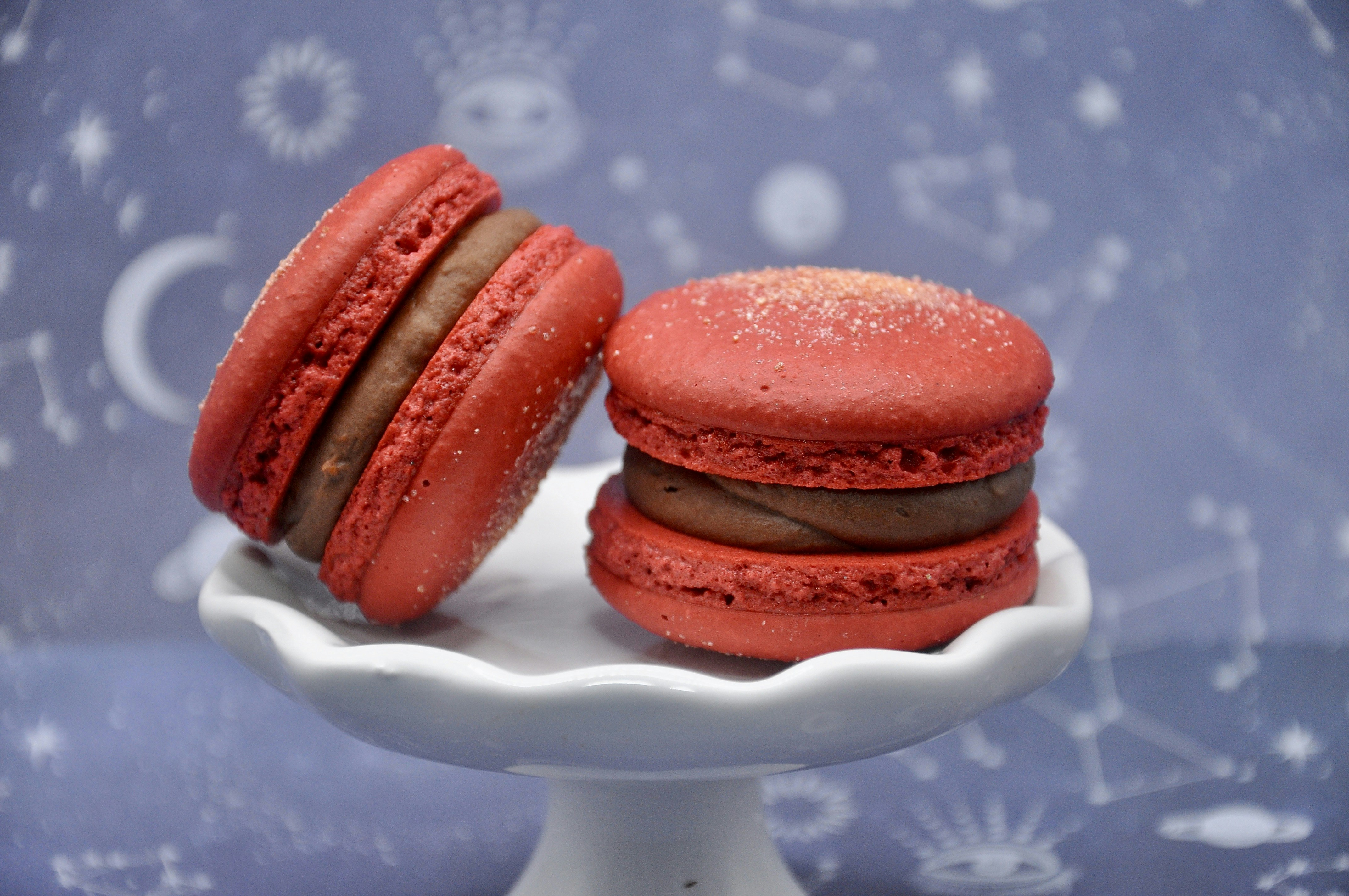 Photo by cameramandan83