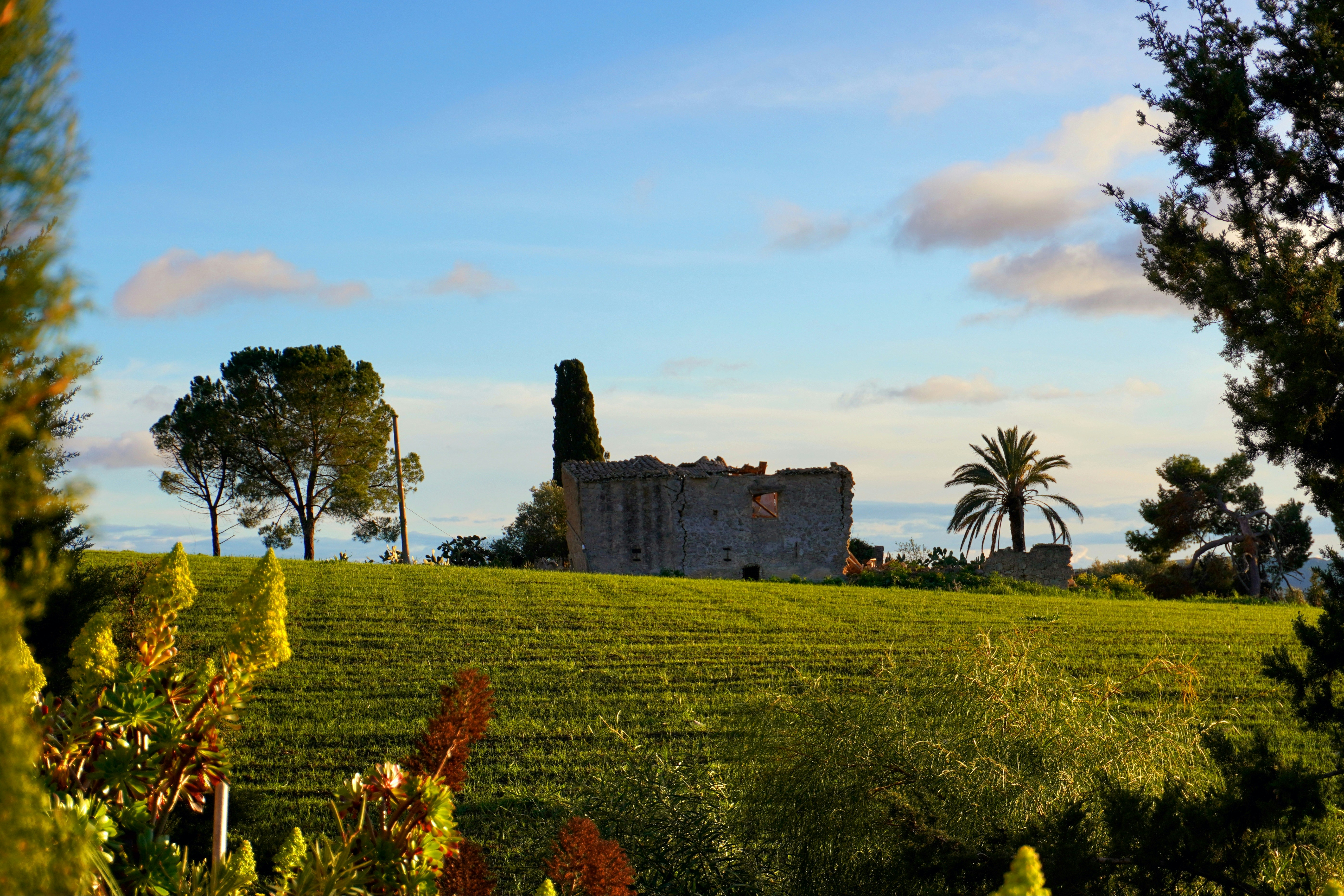 A house in the middle of a green field photo – Free Nature Image on ...