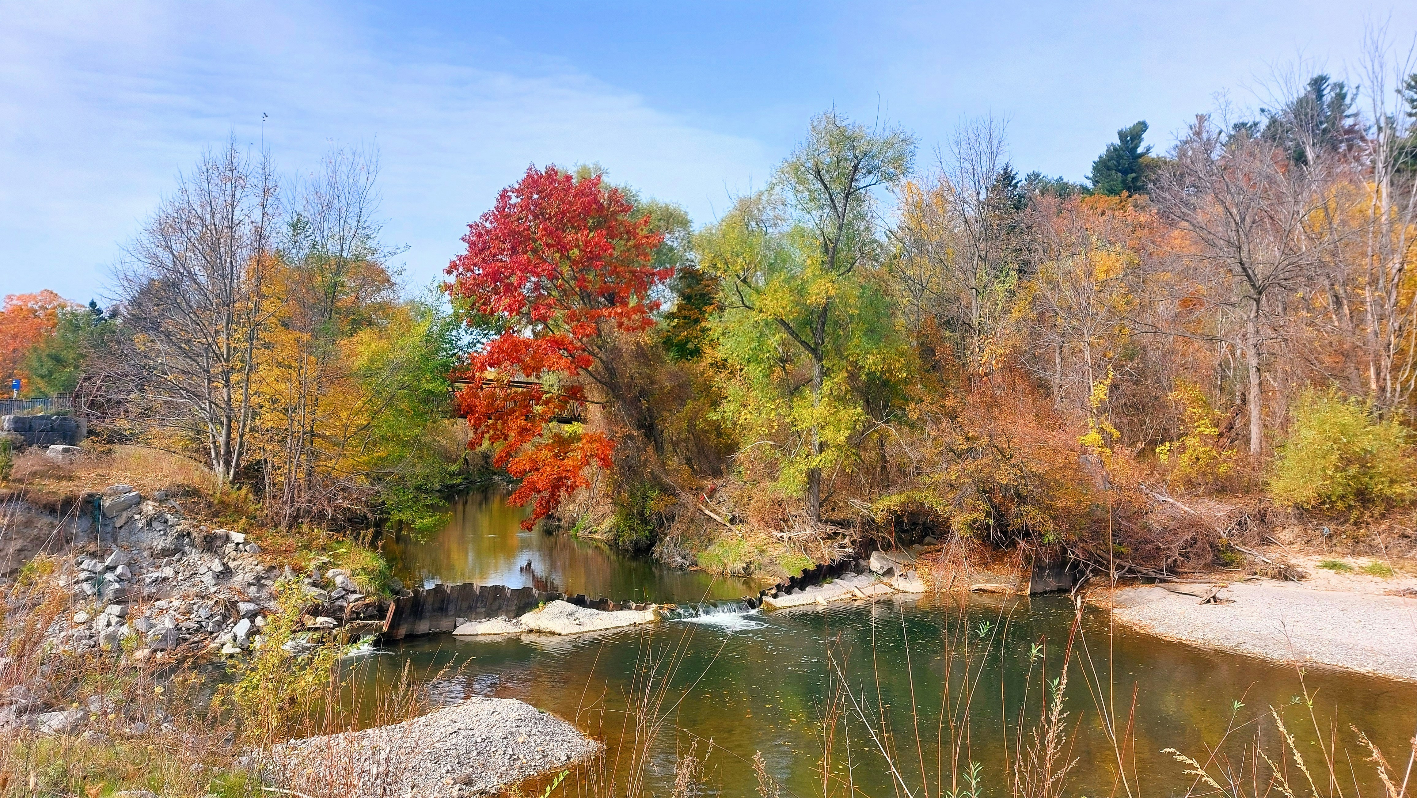 Photo by wendylopezdesigns