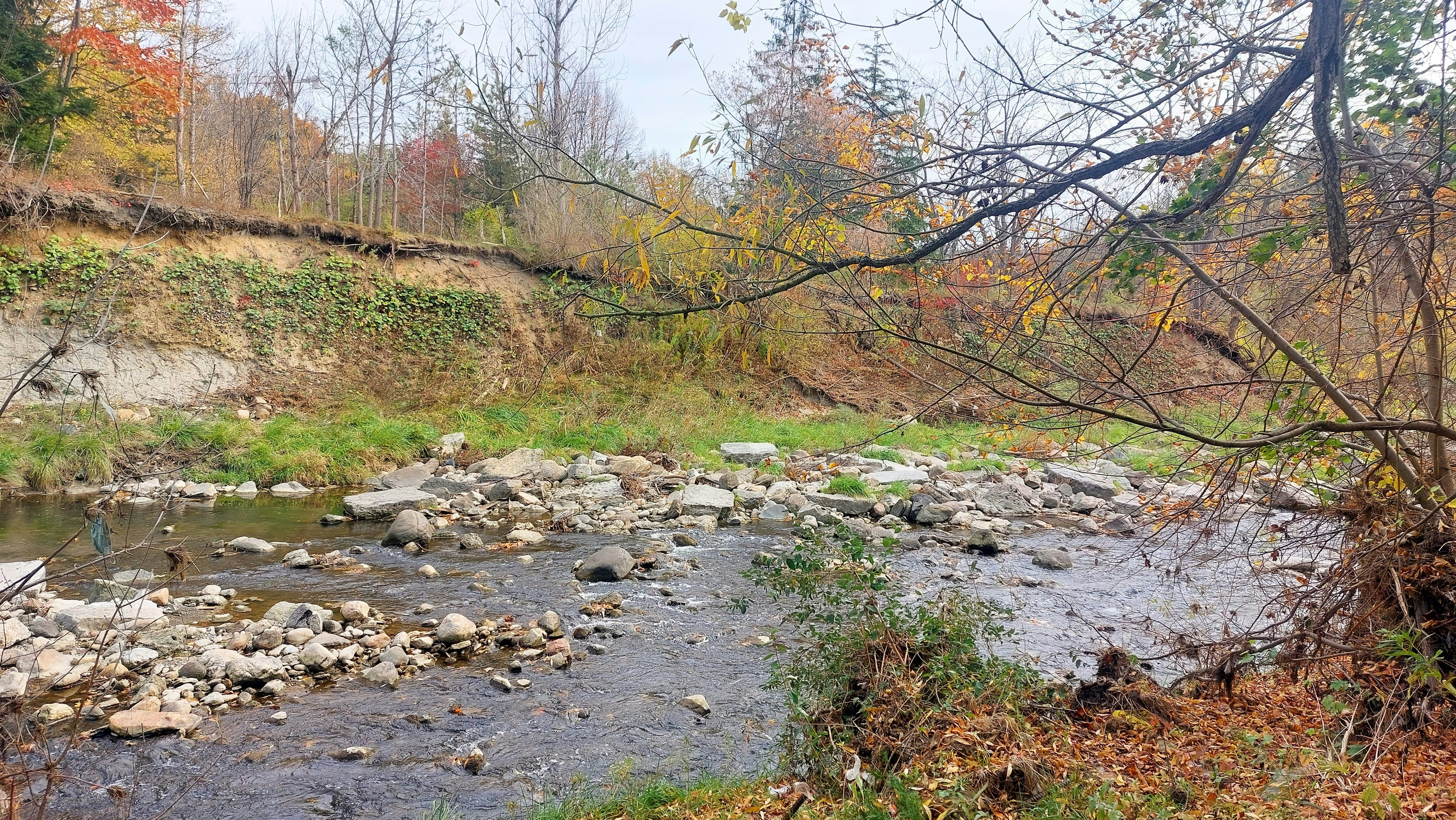 Photo by wendylopezdesigns