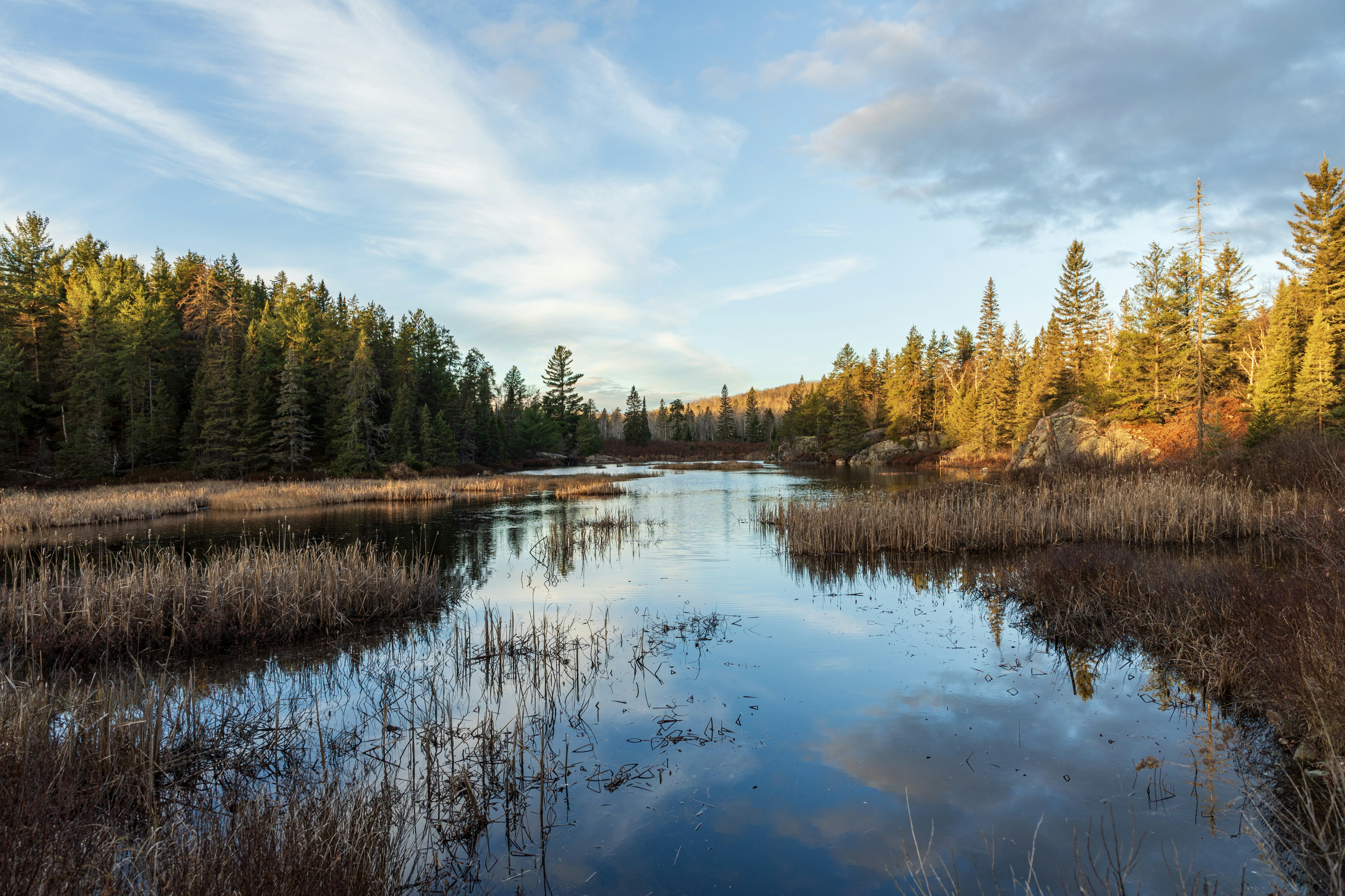 Photo by camerauthor