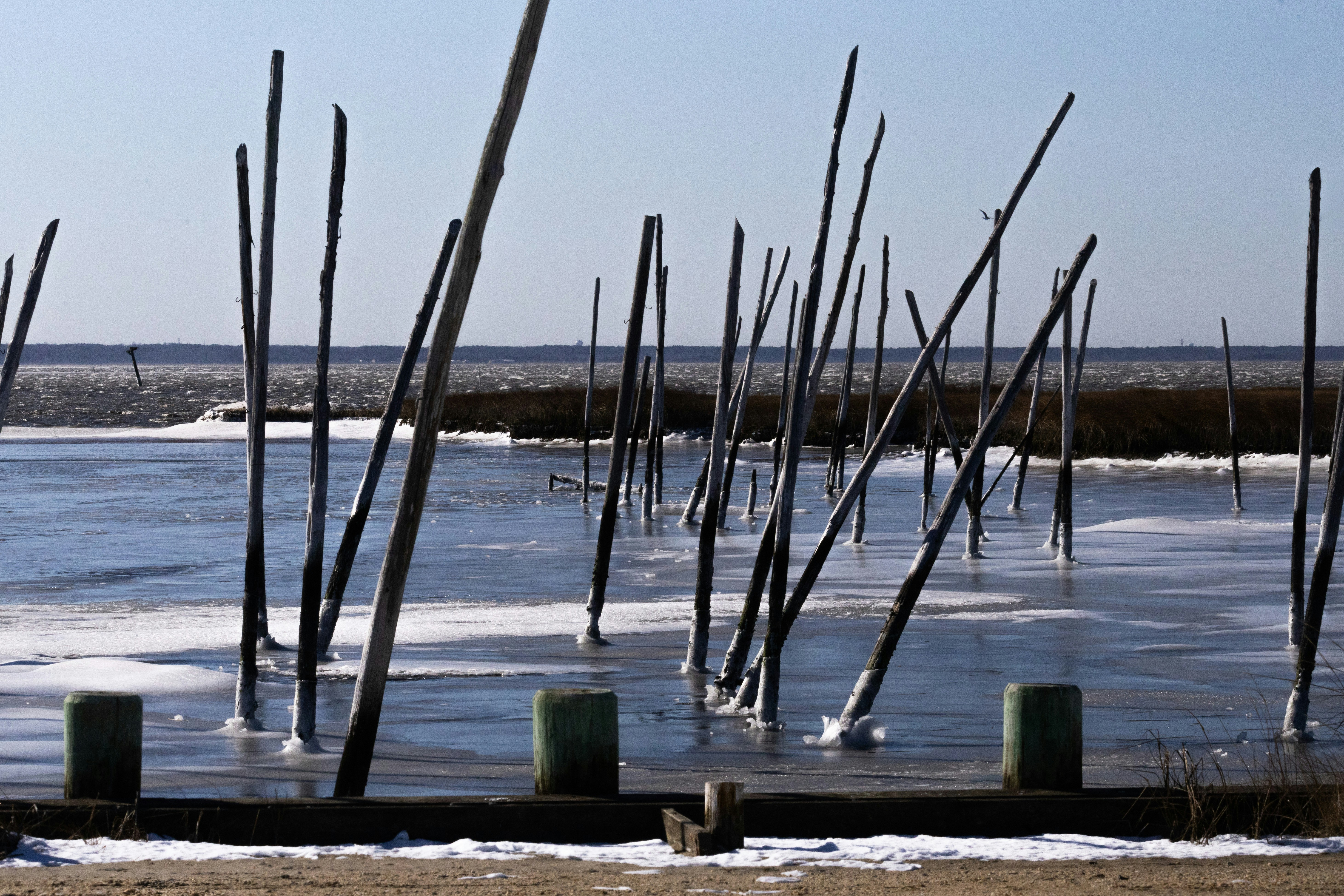 A bunch of poles sticking out of the water