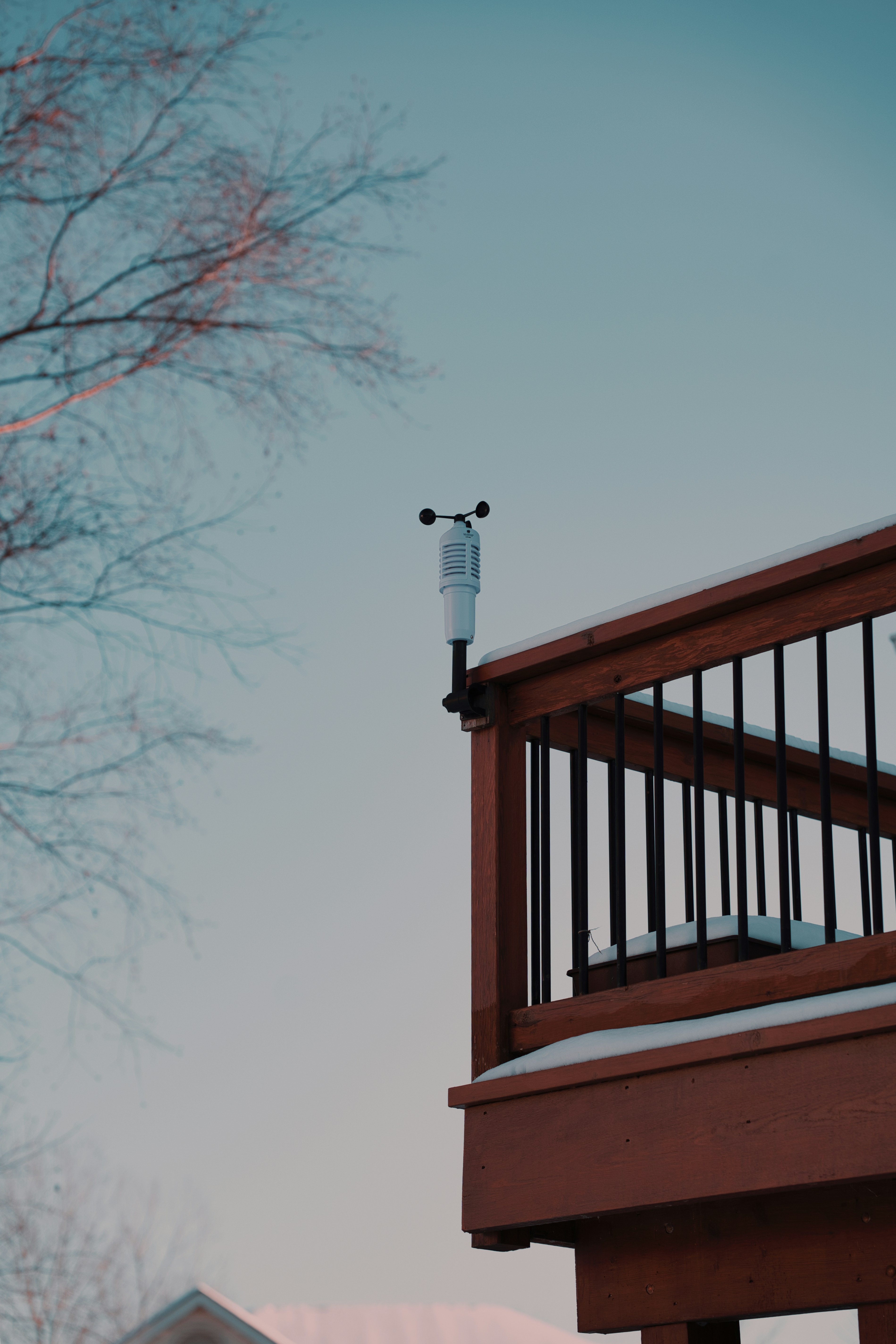 A bird is perched on the top of a deck