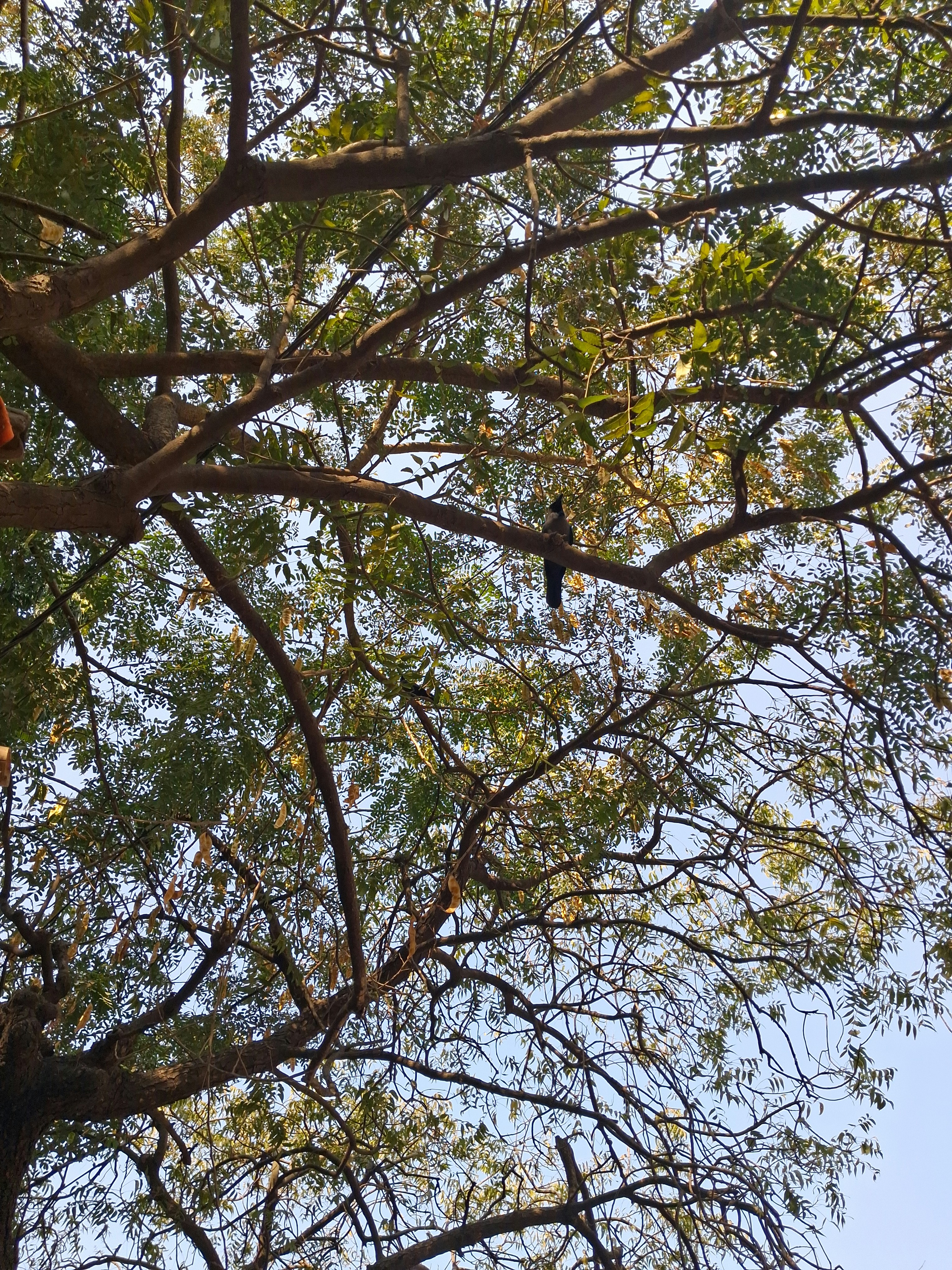 Photo by rohanpatel5636