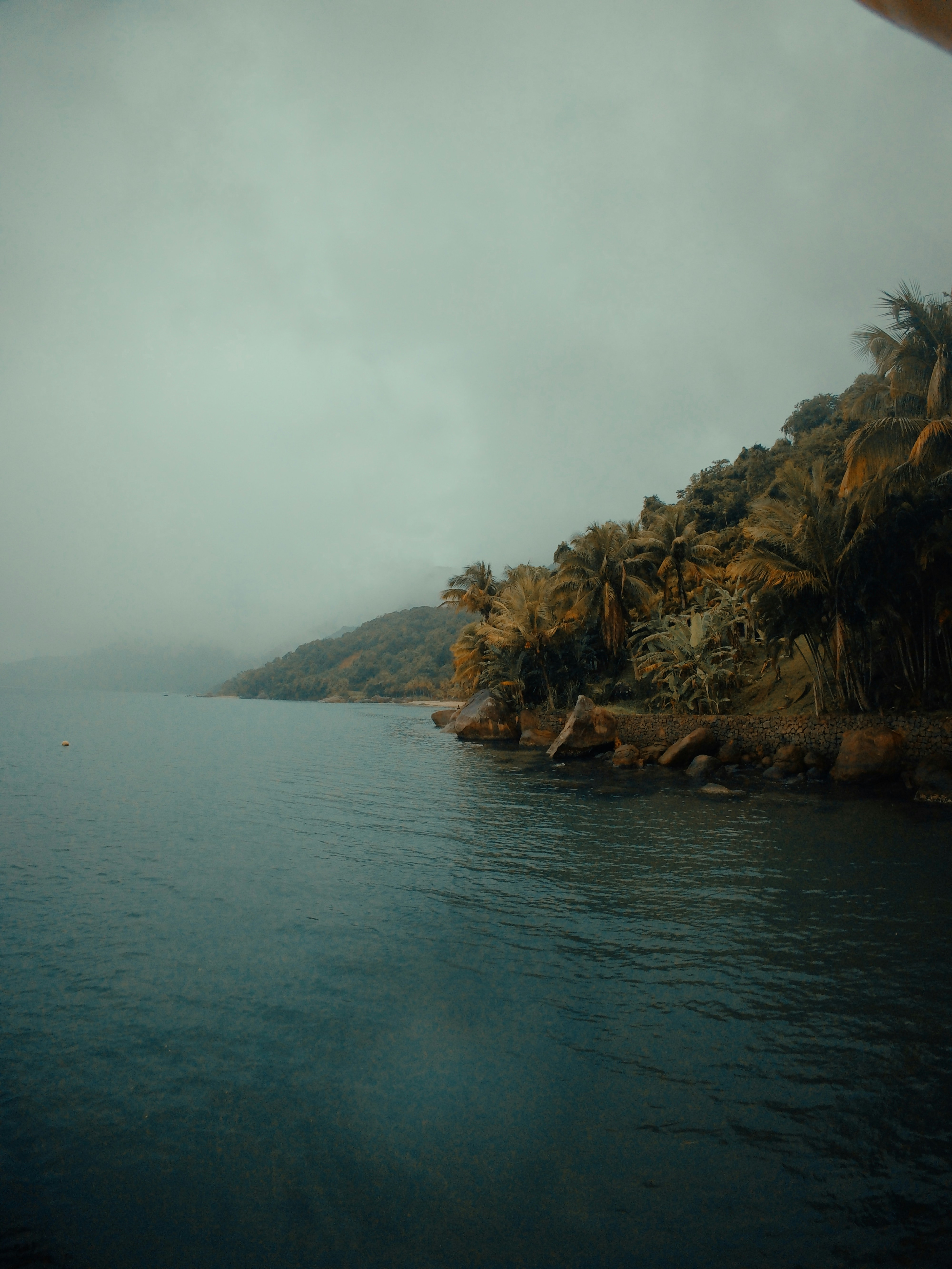 Photo by lucasbsallum