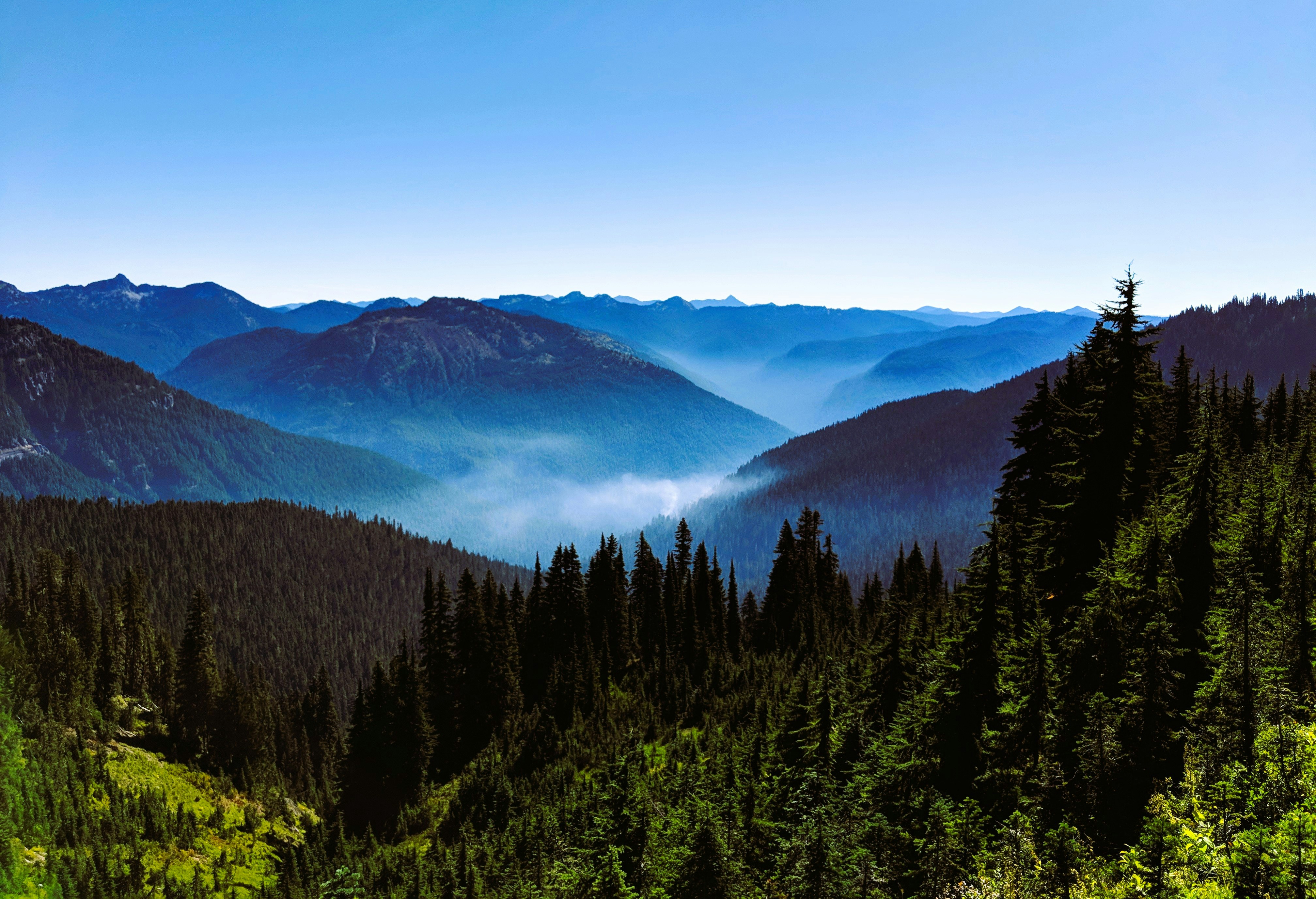 Photo by lokeshlens88