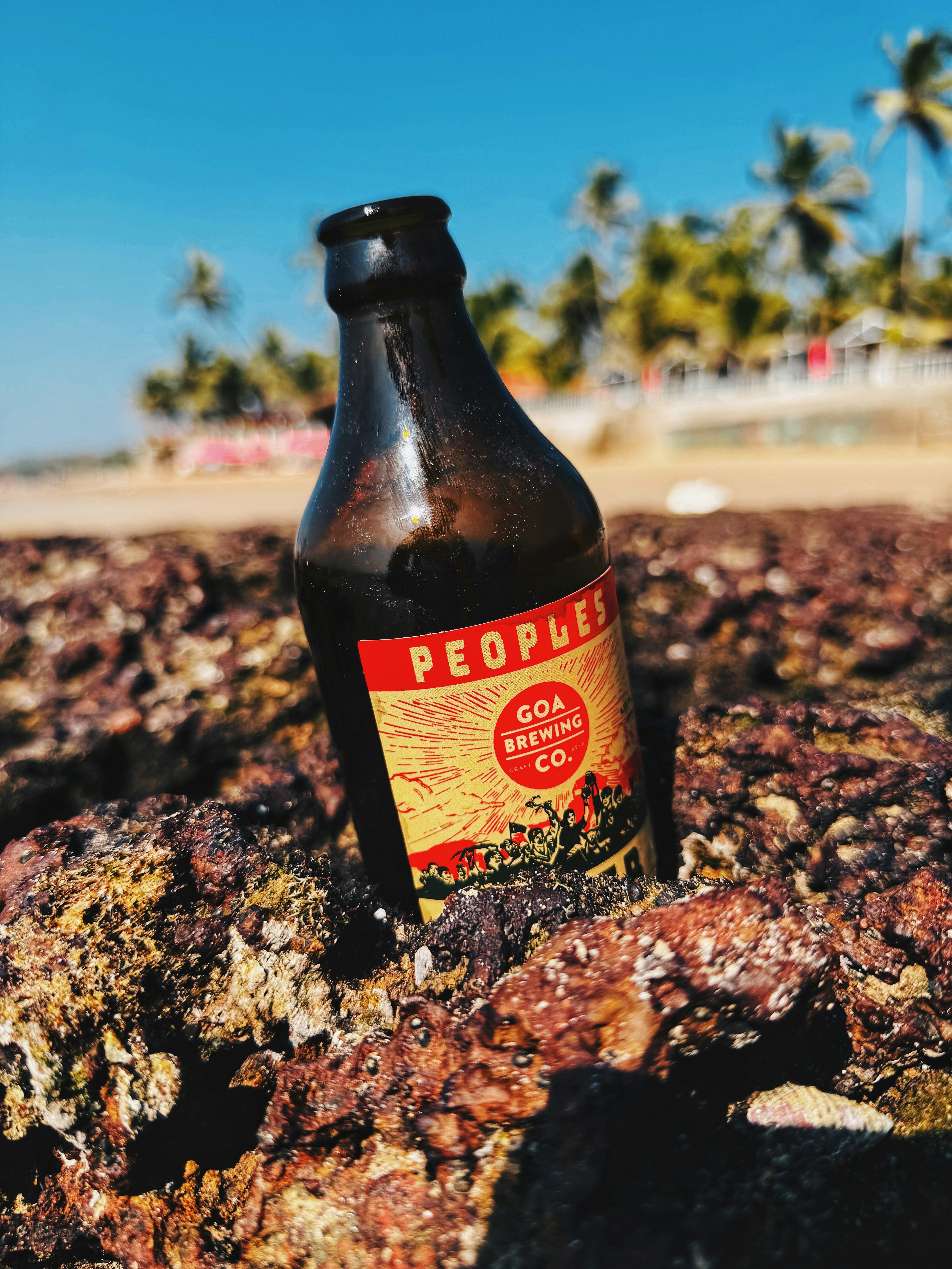 A beer bottle sitting on top of a rock
