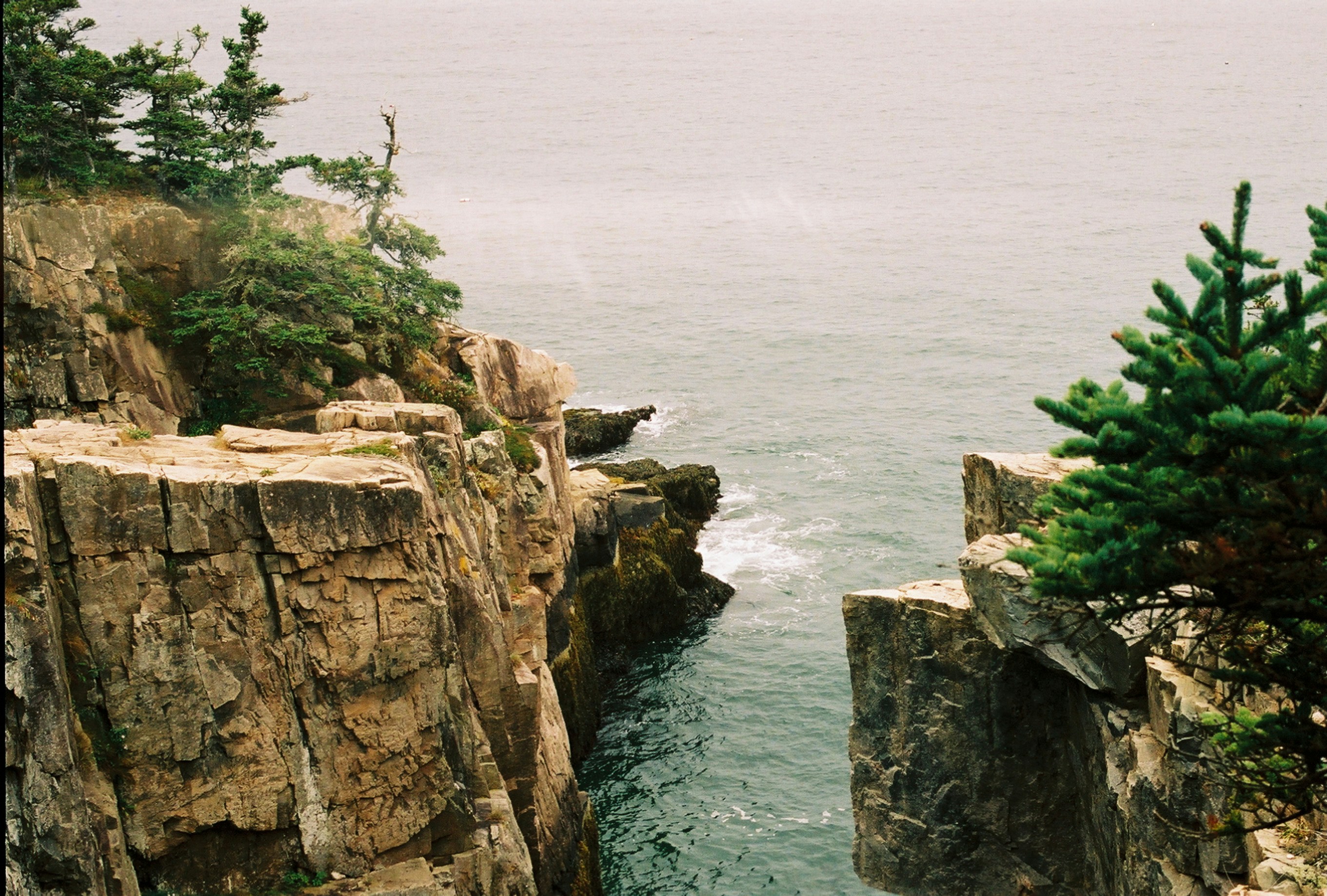 Photo by marthamonjaras