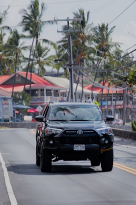 A black truck driving down a street next to palm trees