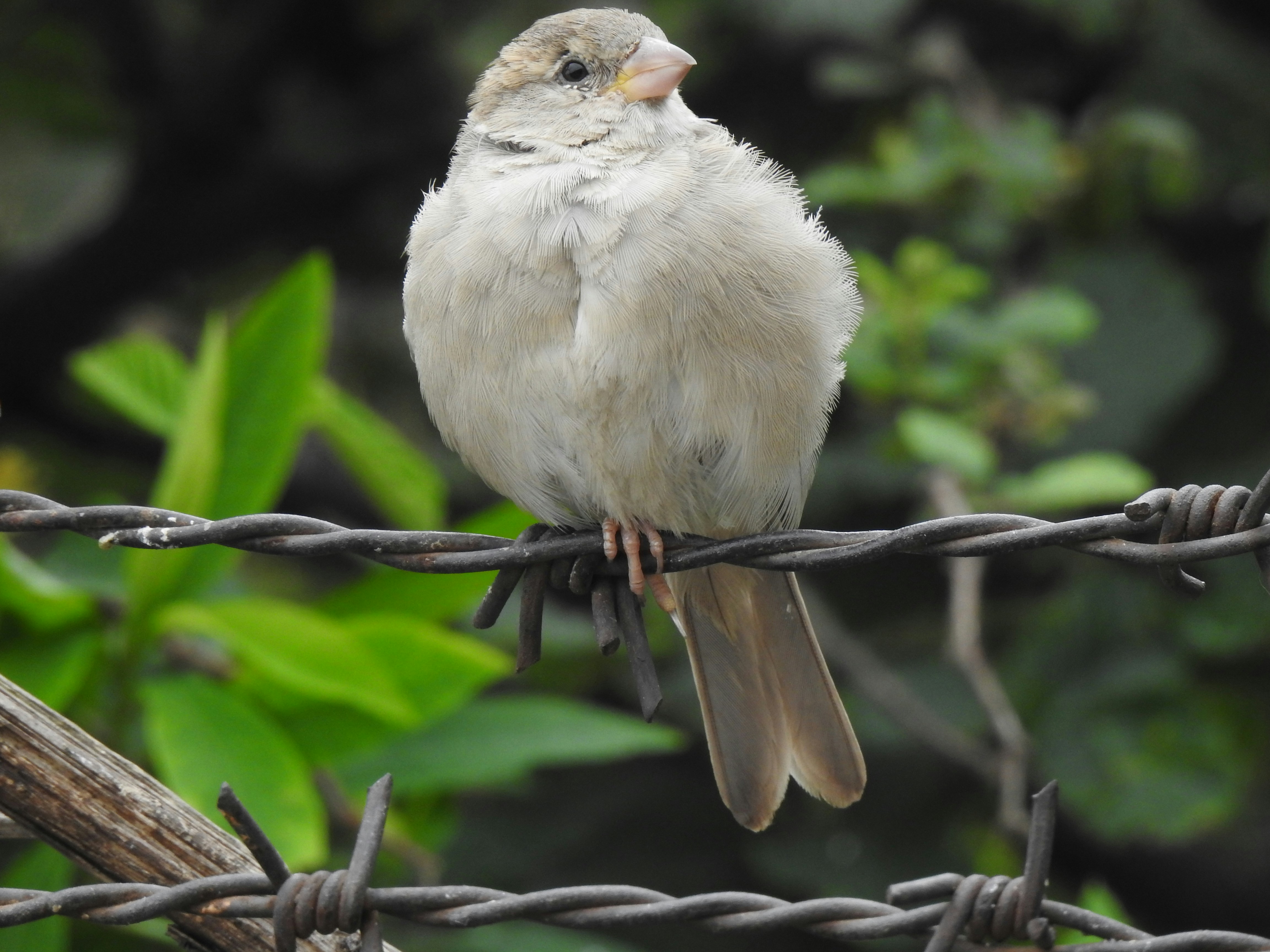 Photo by natureandmylens