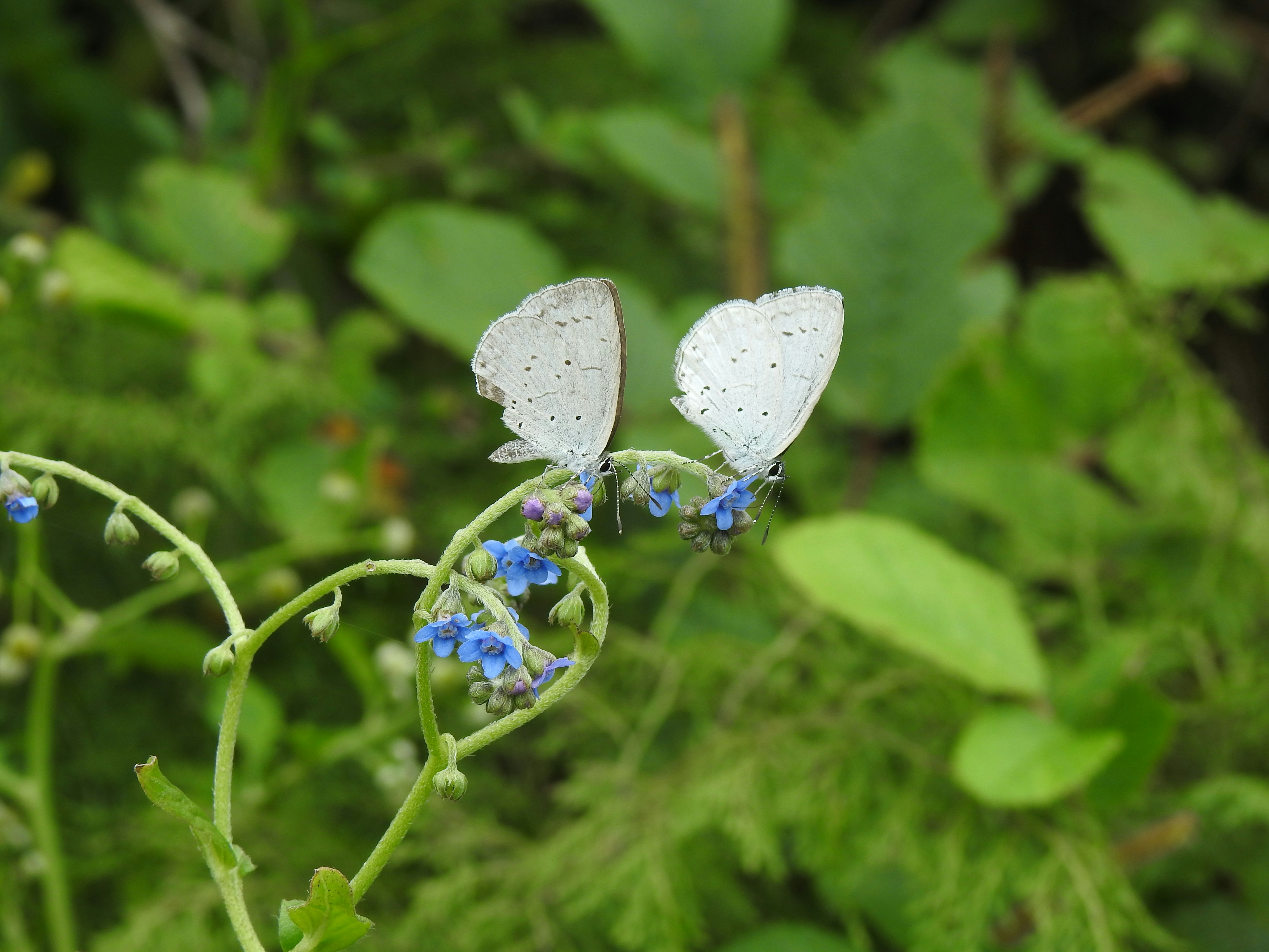 Photo by natureandmylens