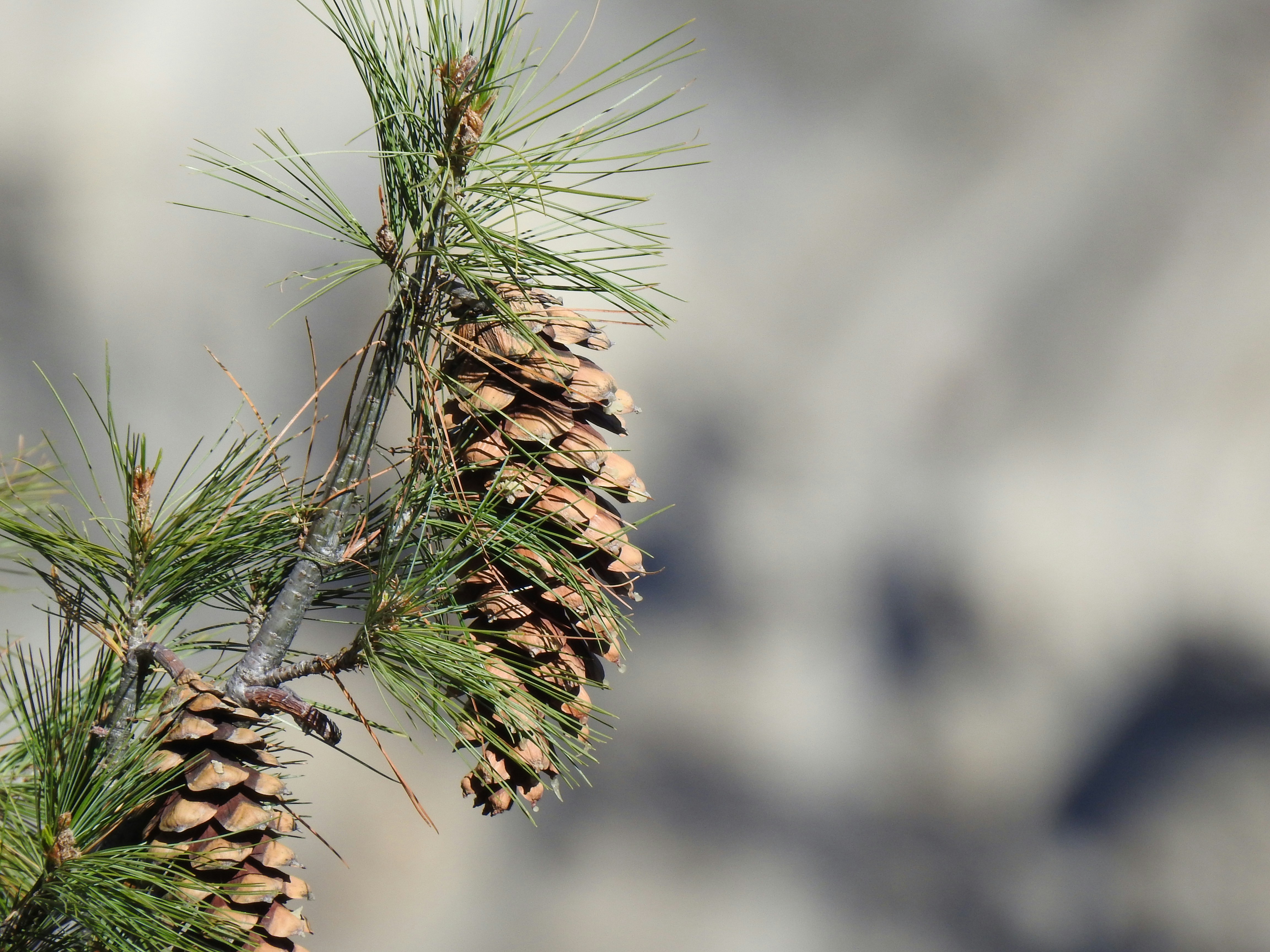 Photo by natureandmylens