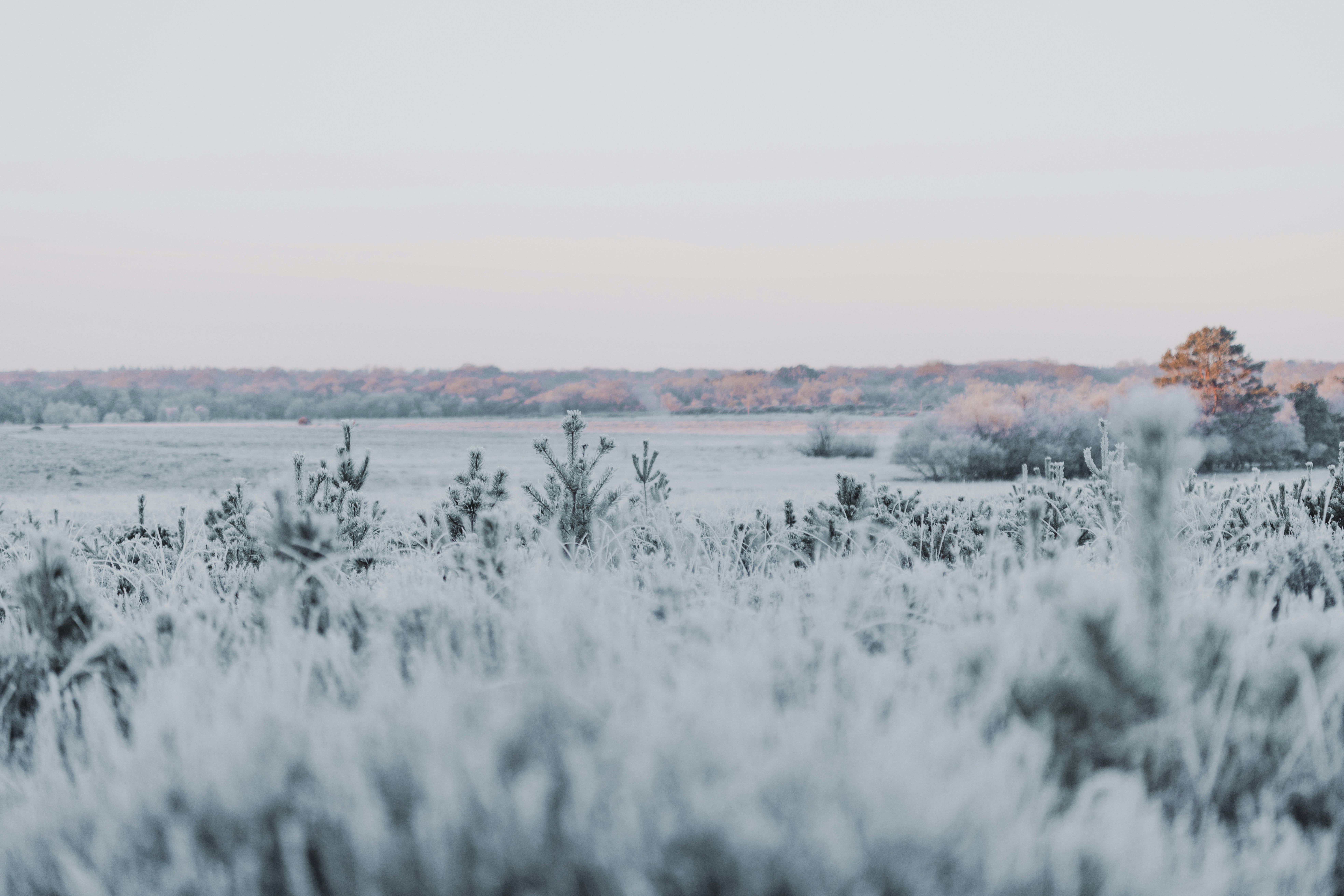 Photo by anniespratt