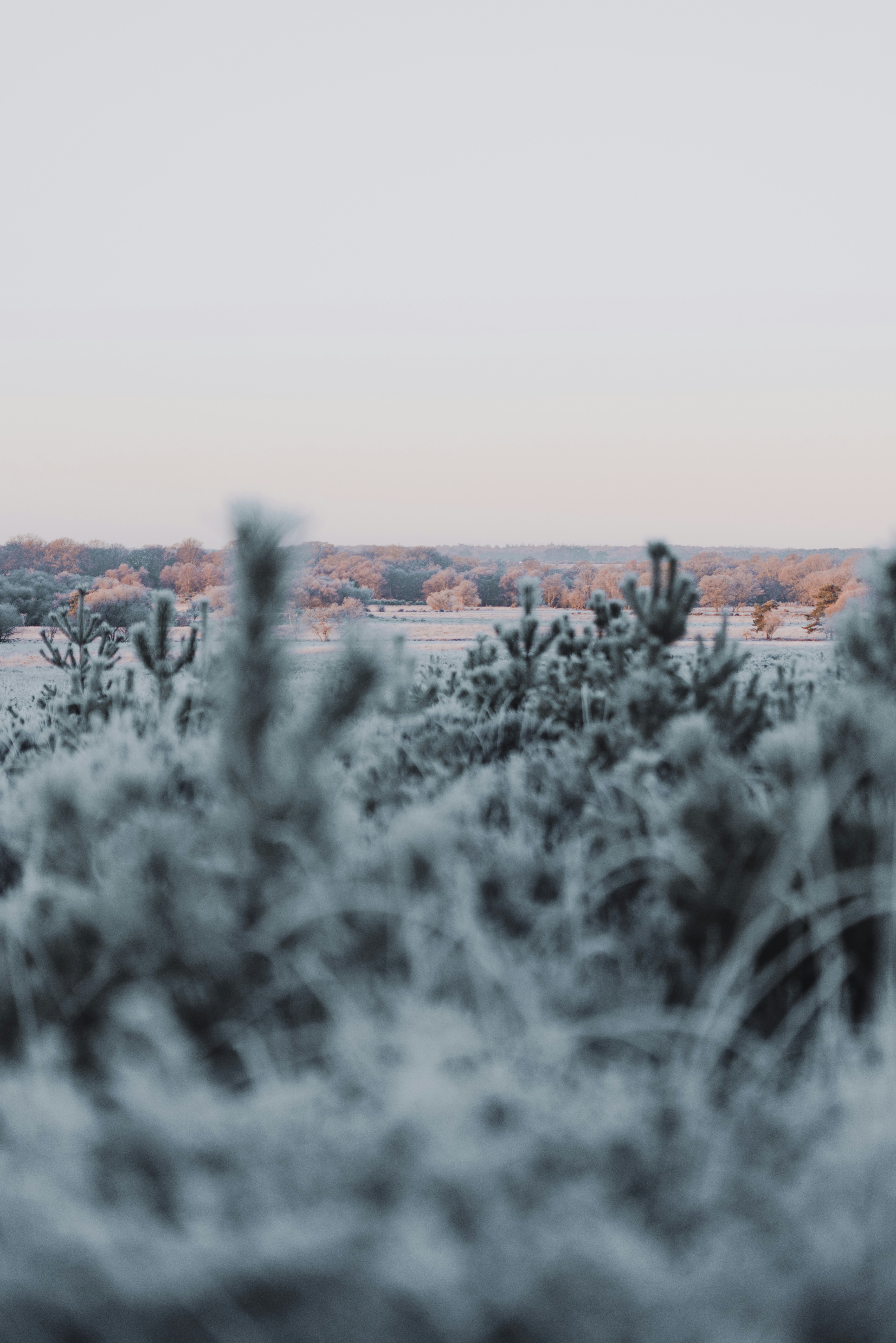 Photo by anniespratt