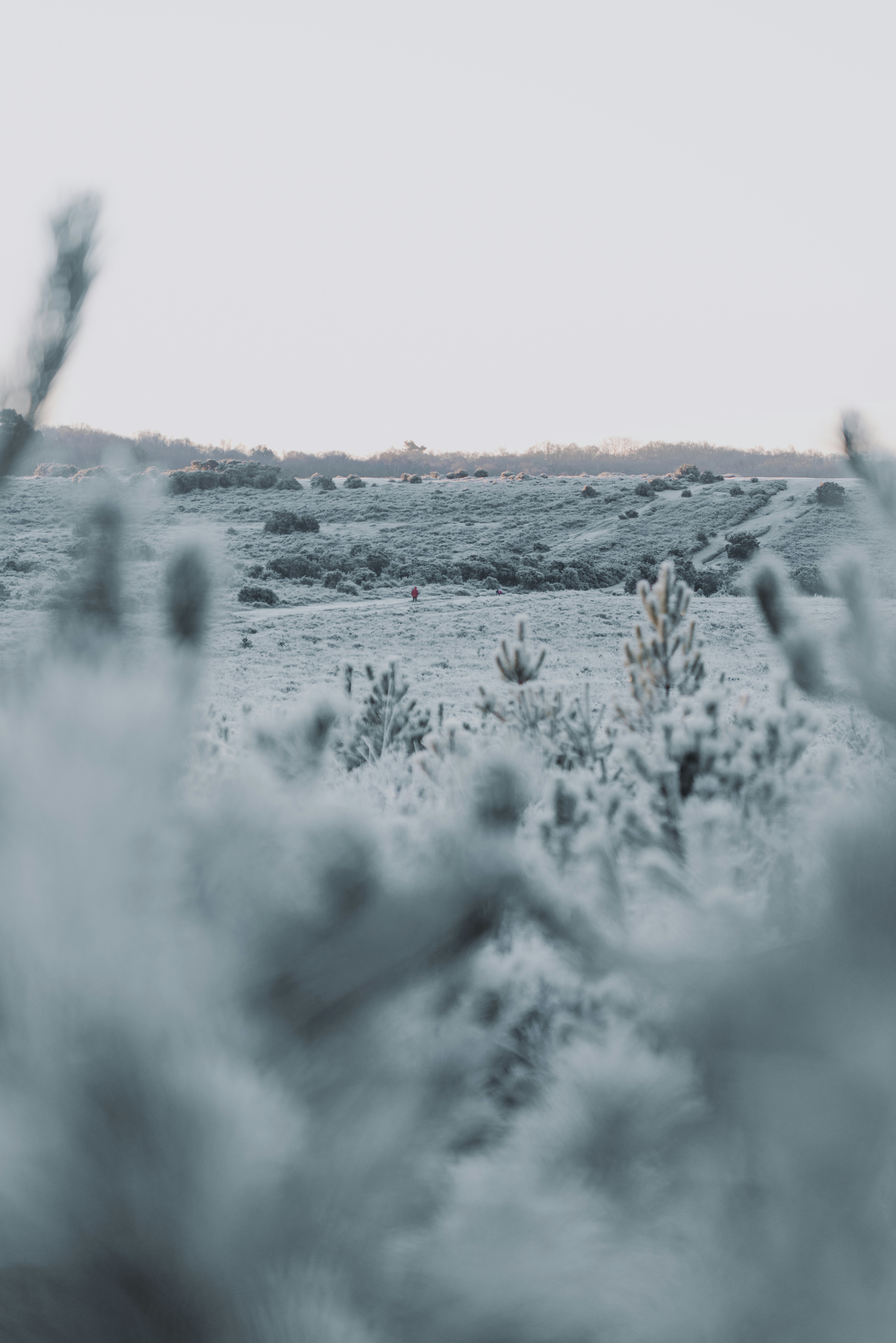 Photo by anniespratt