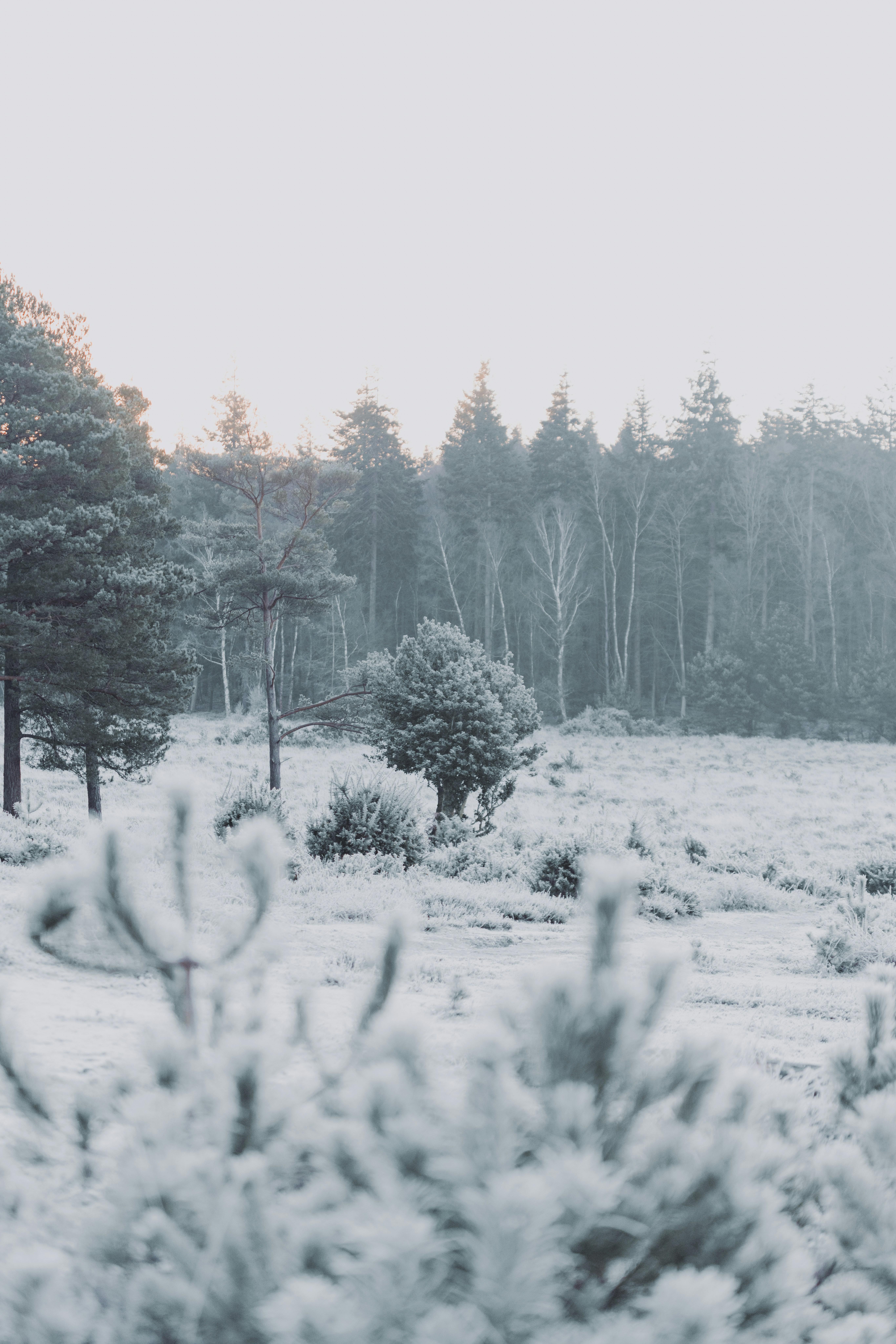 Photo by anniespratt