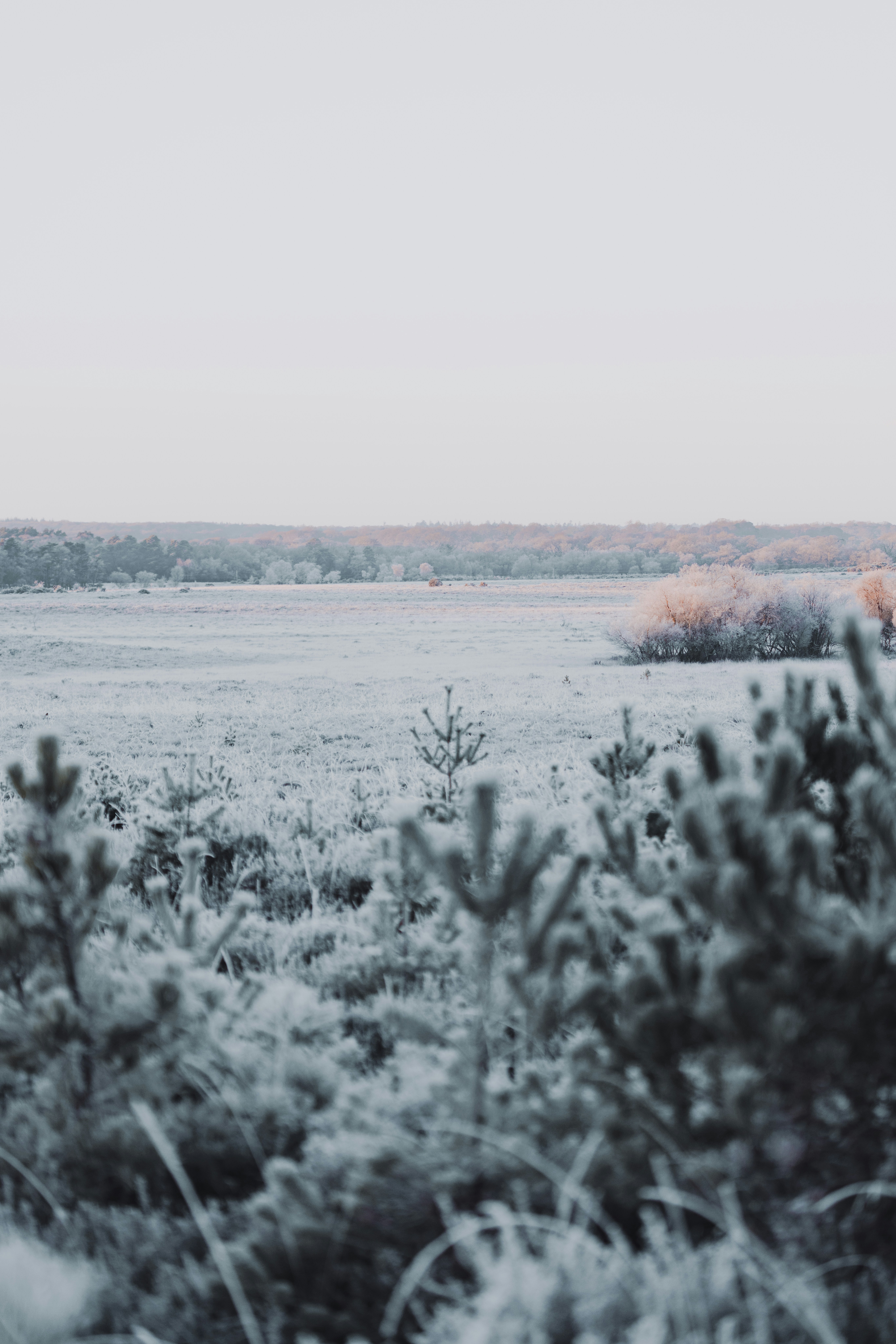 Photo by anniespratt