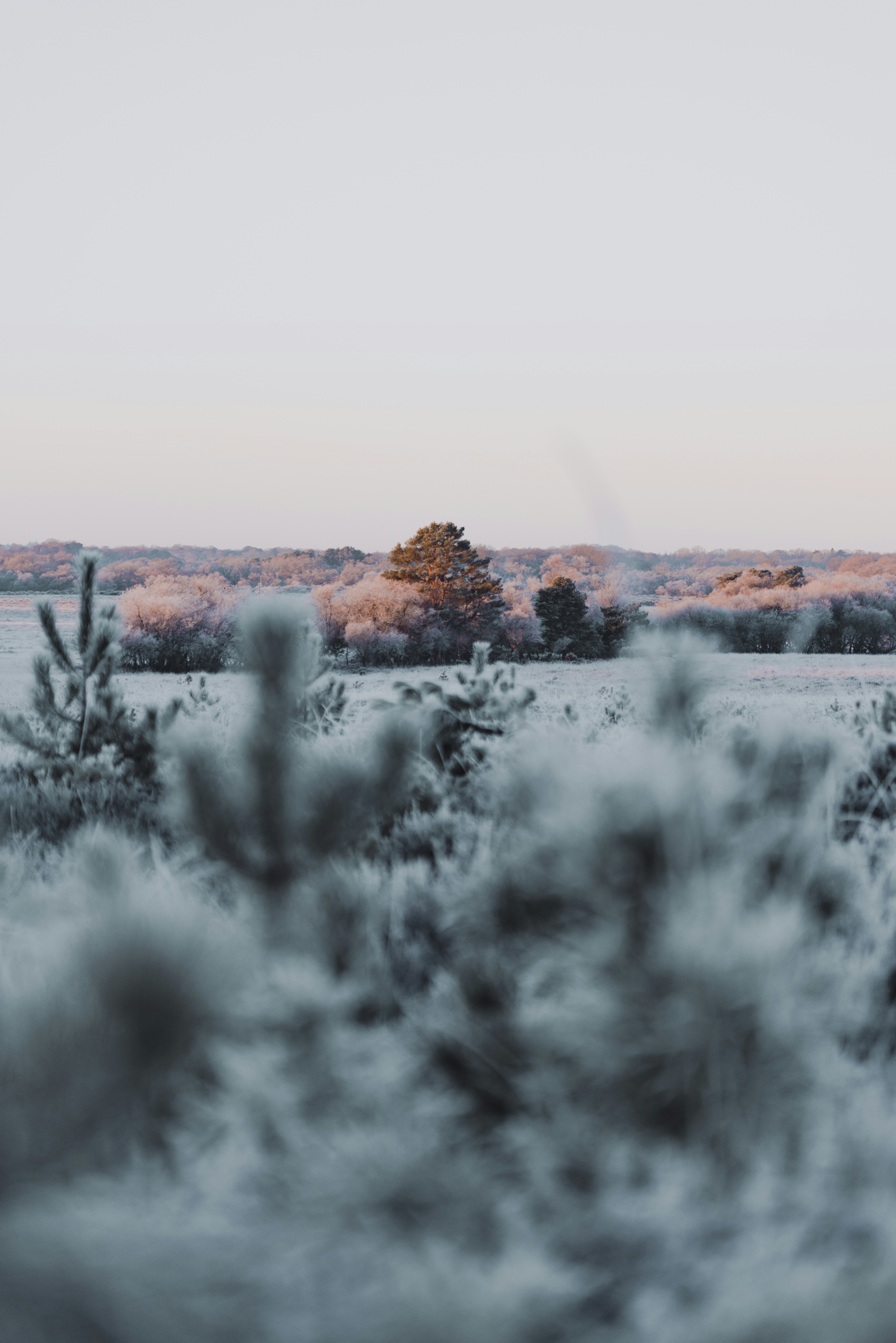 Photo by anniespratt