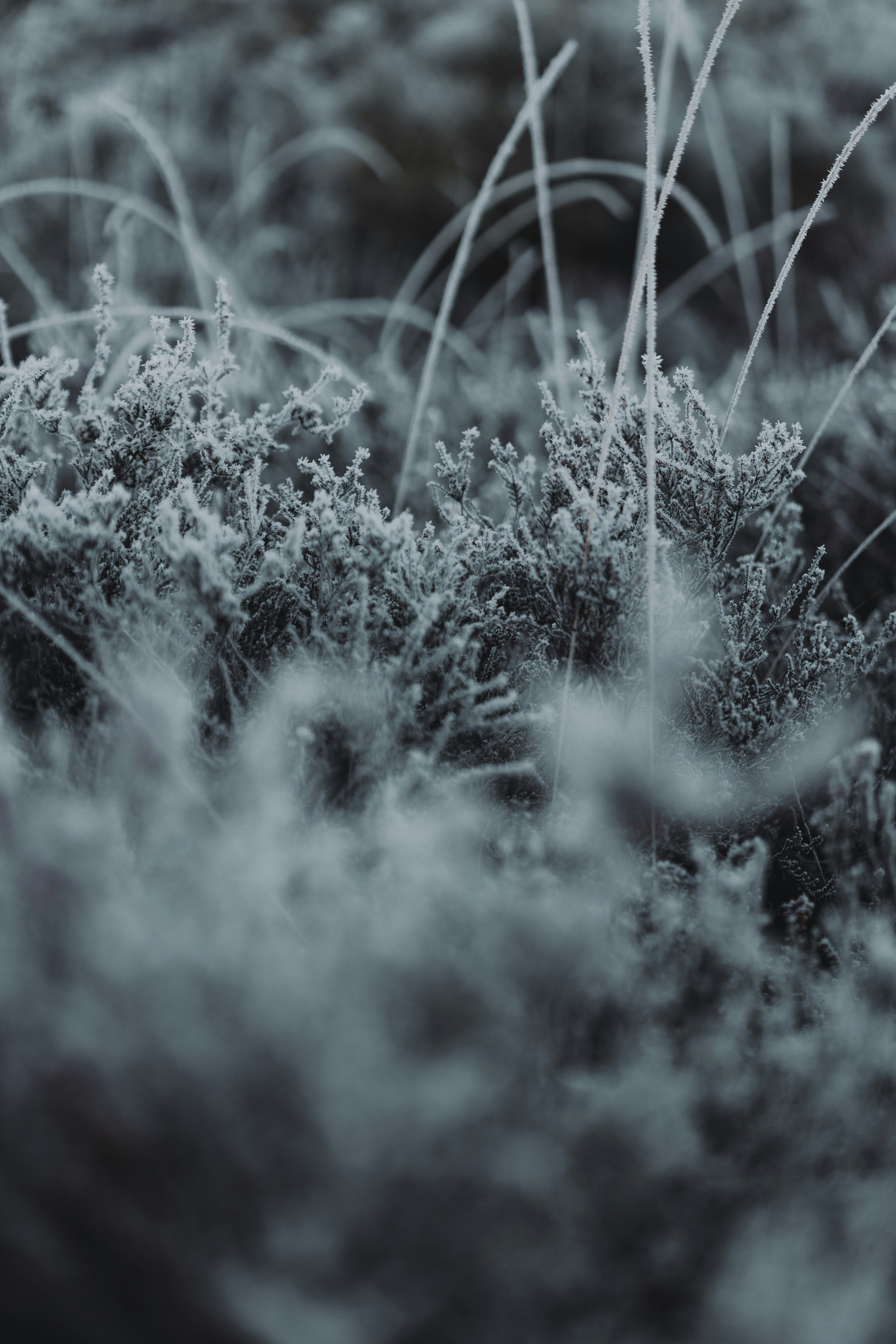 Photo by anniespratt