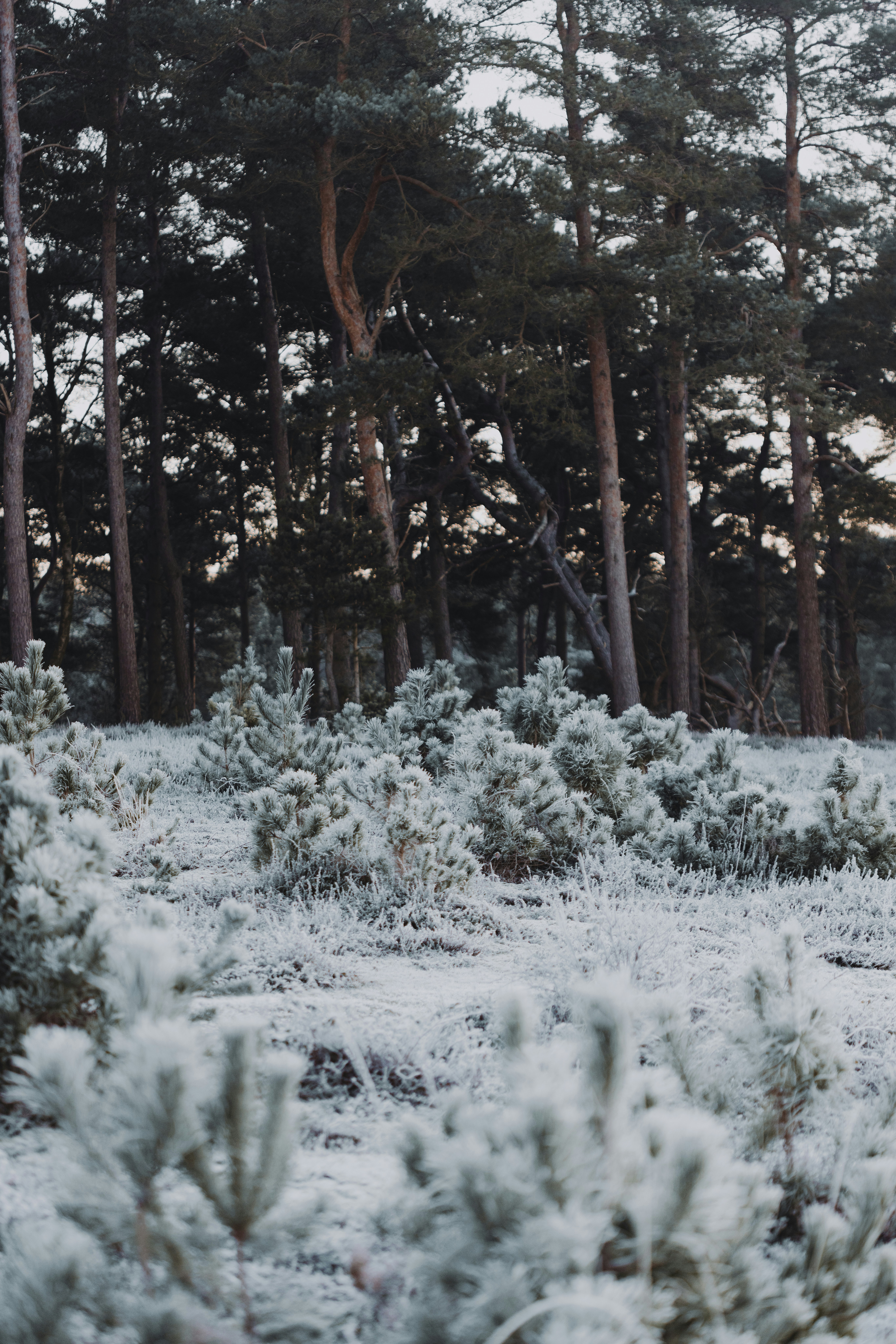 Photo by anniespratt