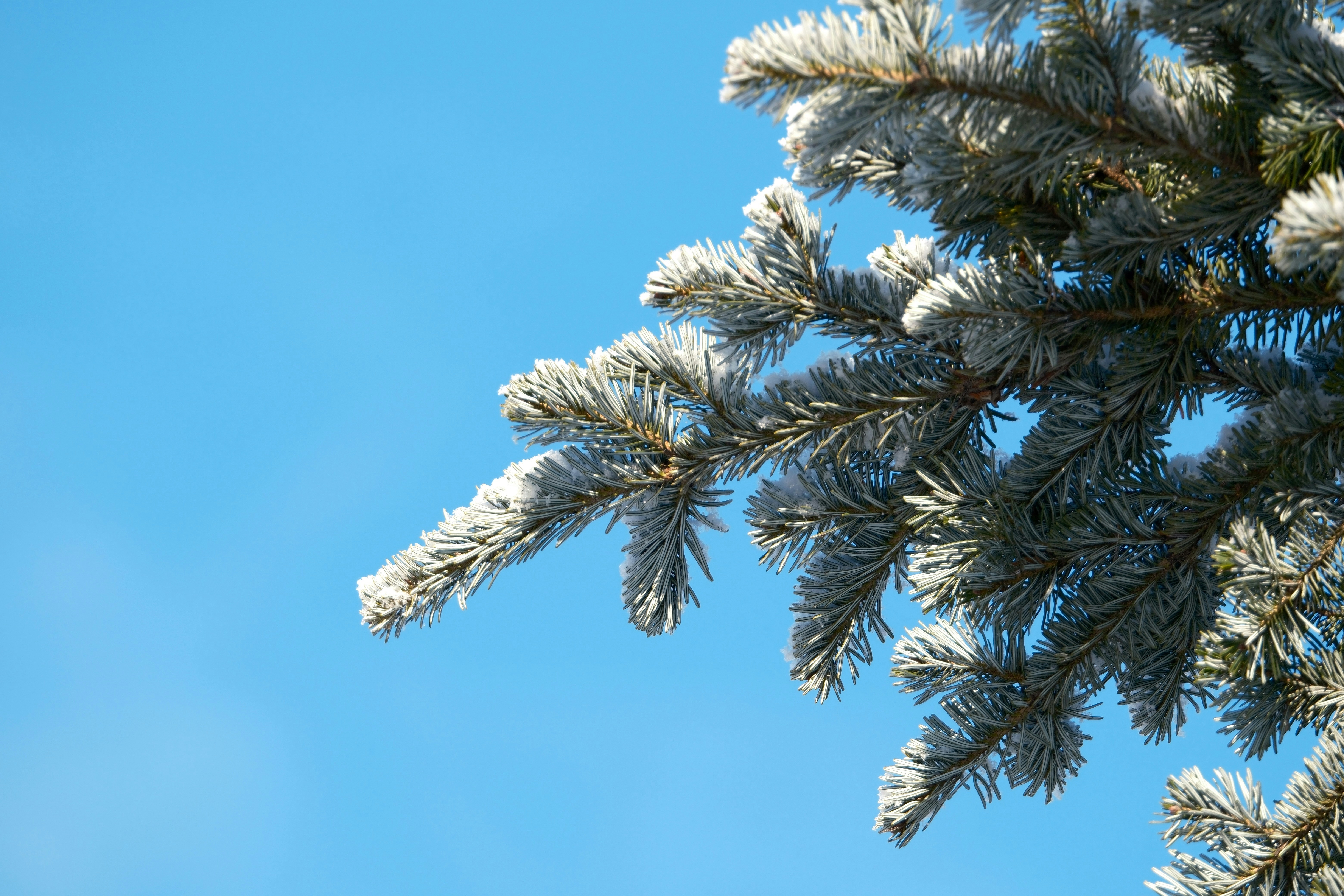 Photo by seiya_maeda