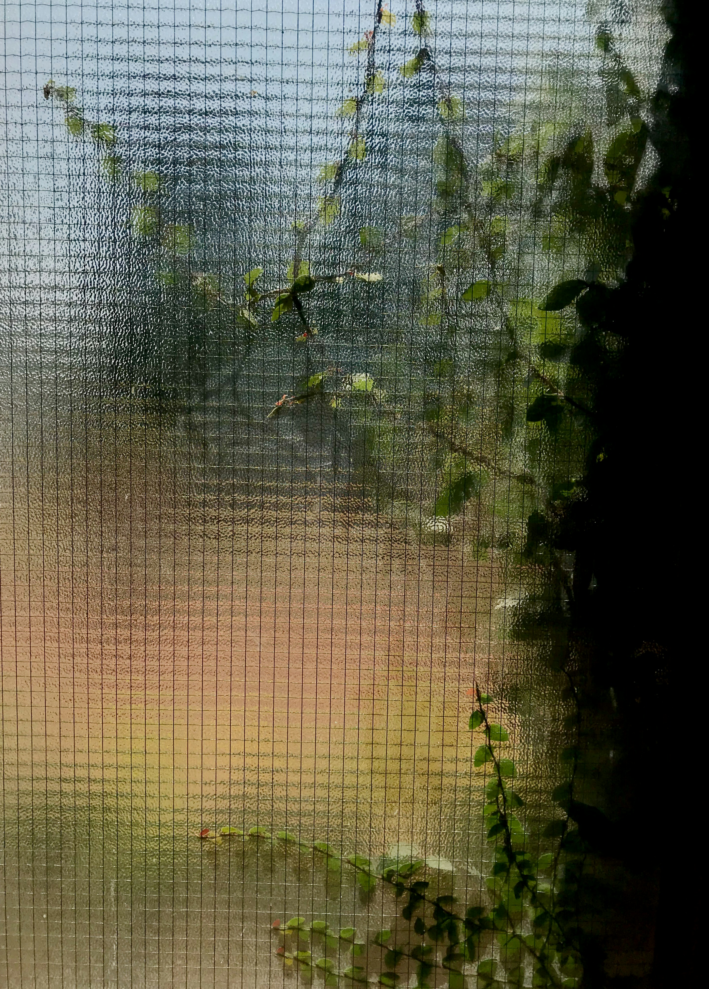 Photo by saadahmad_umn