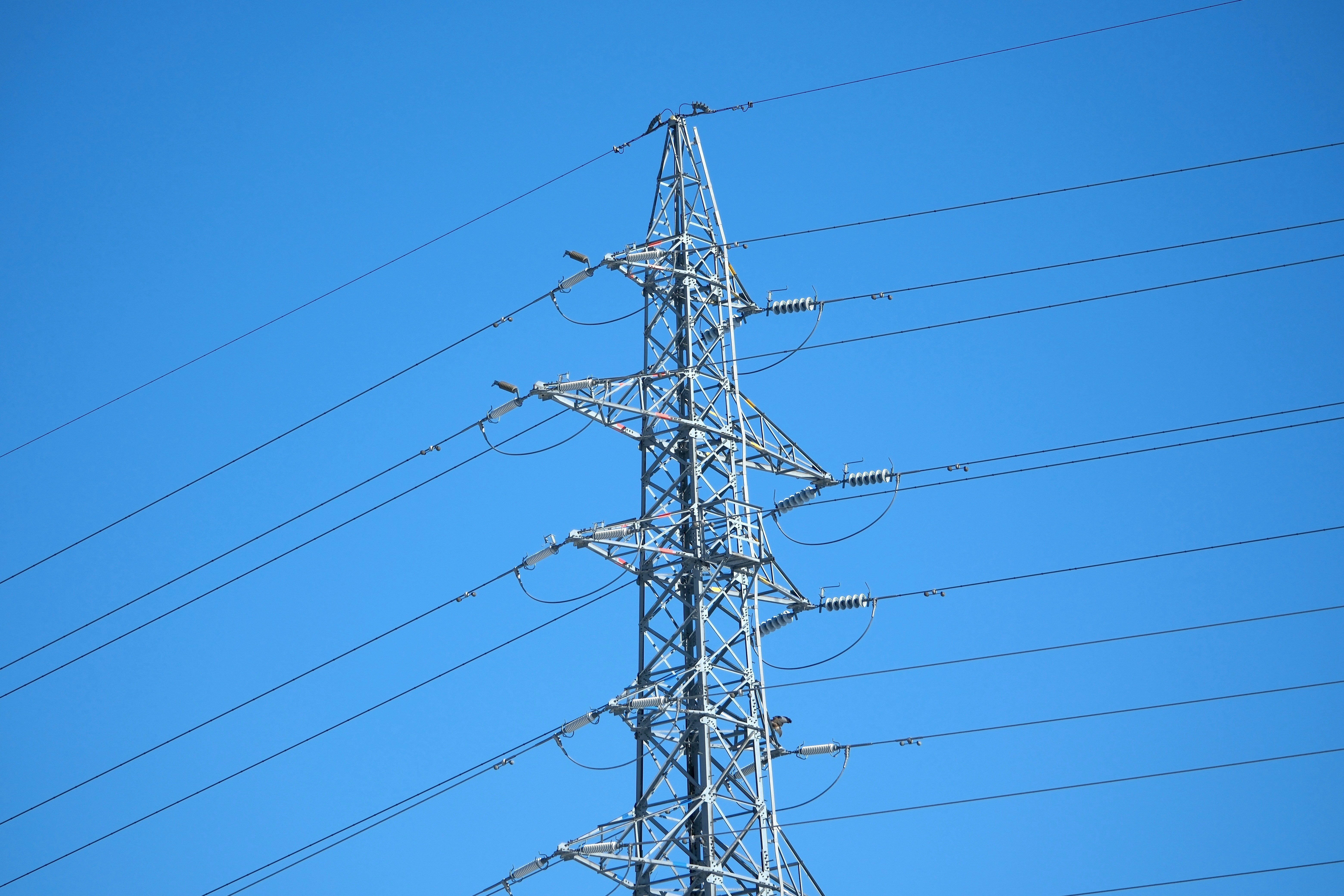 Photo by seiya_maeda