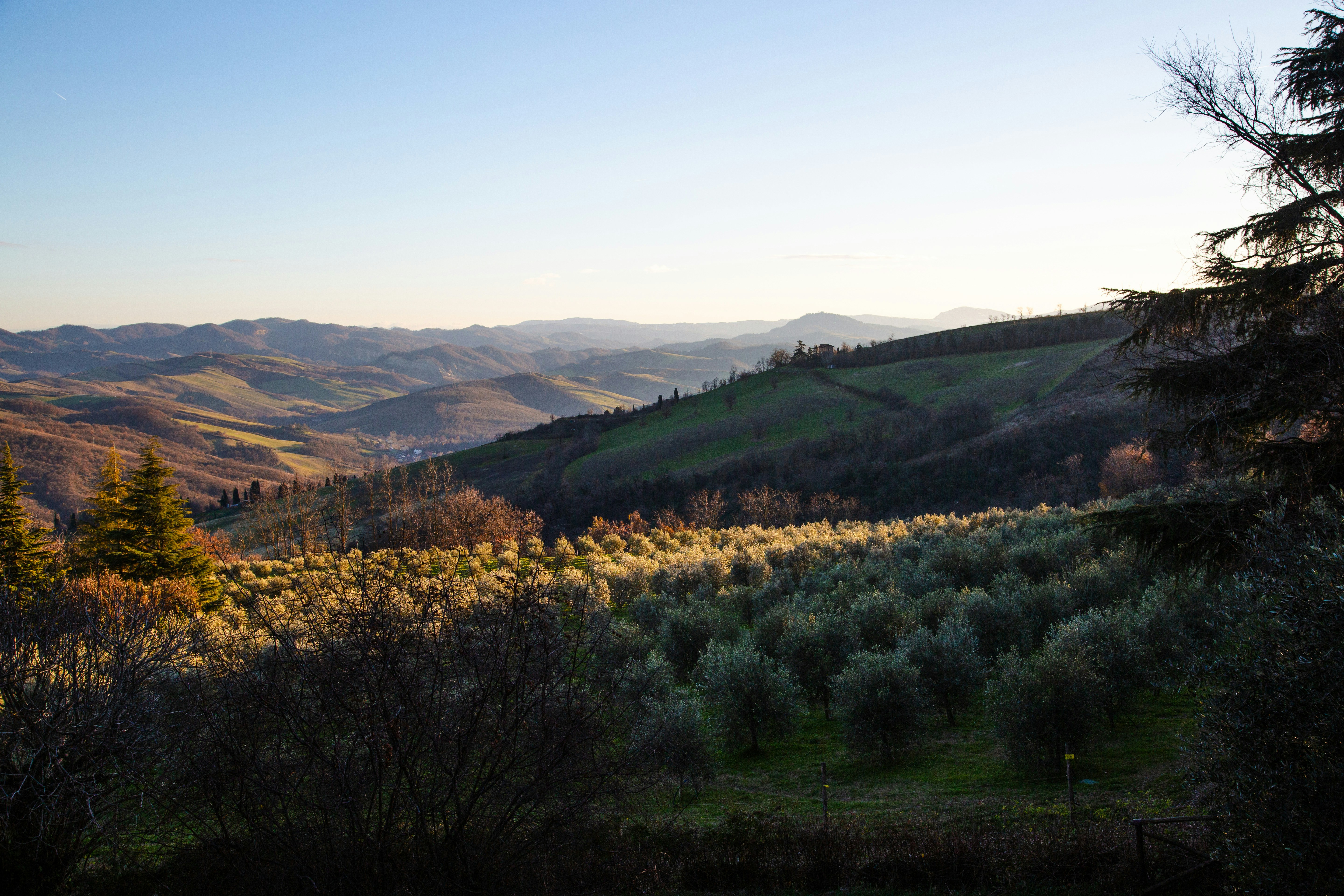 Photo by mattia_poli_04