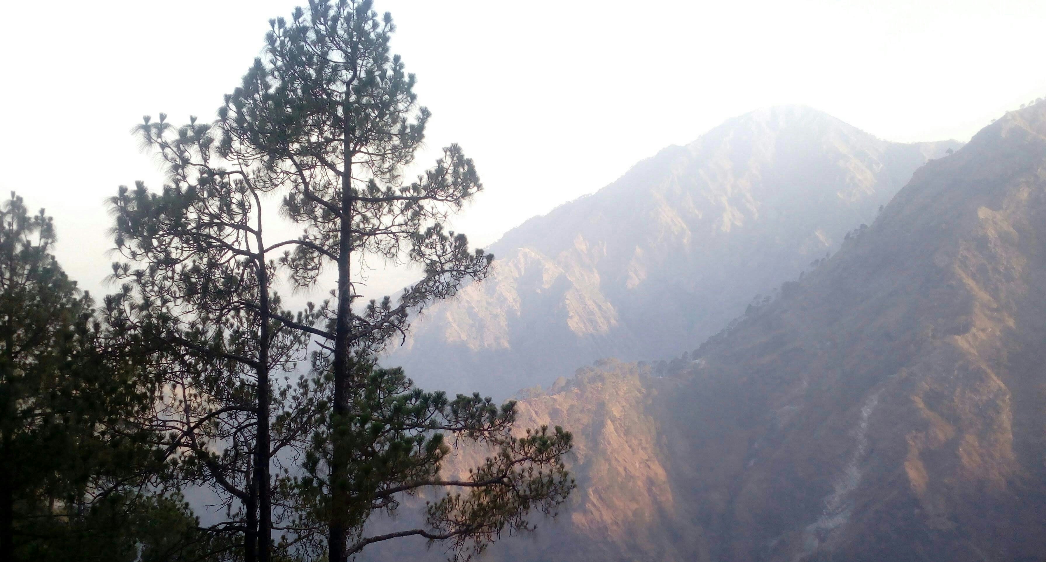 Photo by mrinal1082002