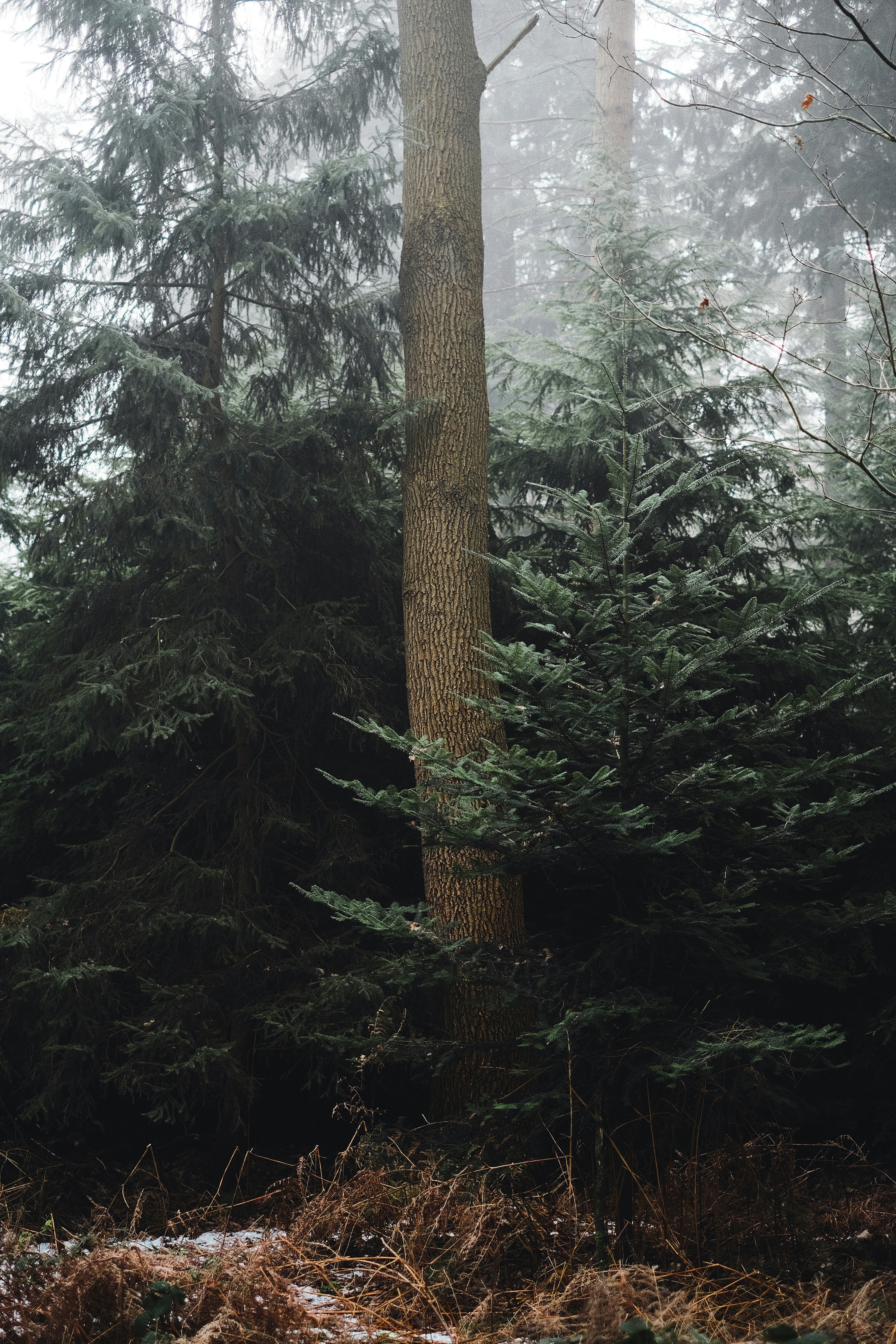 Photo by visualsbying