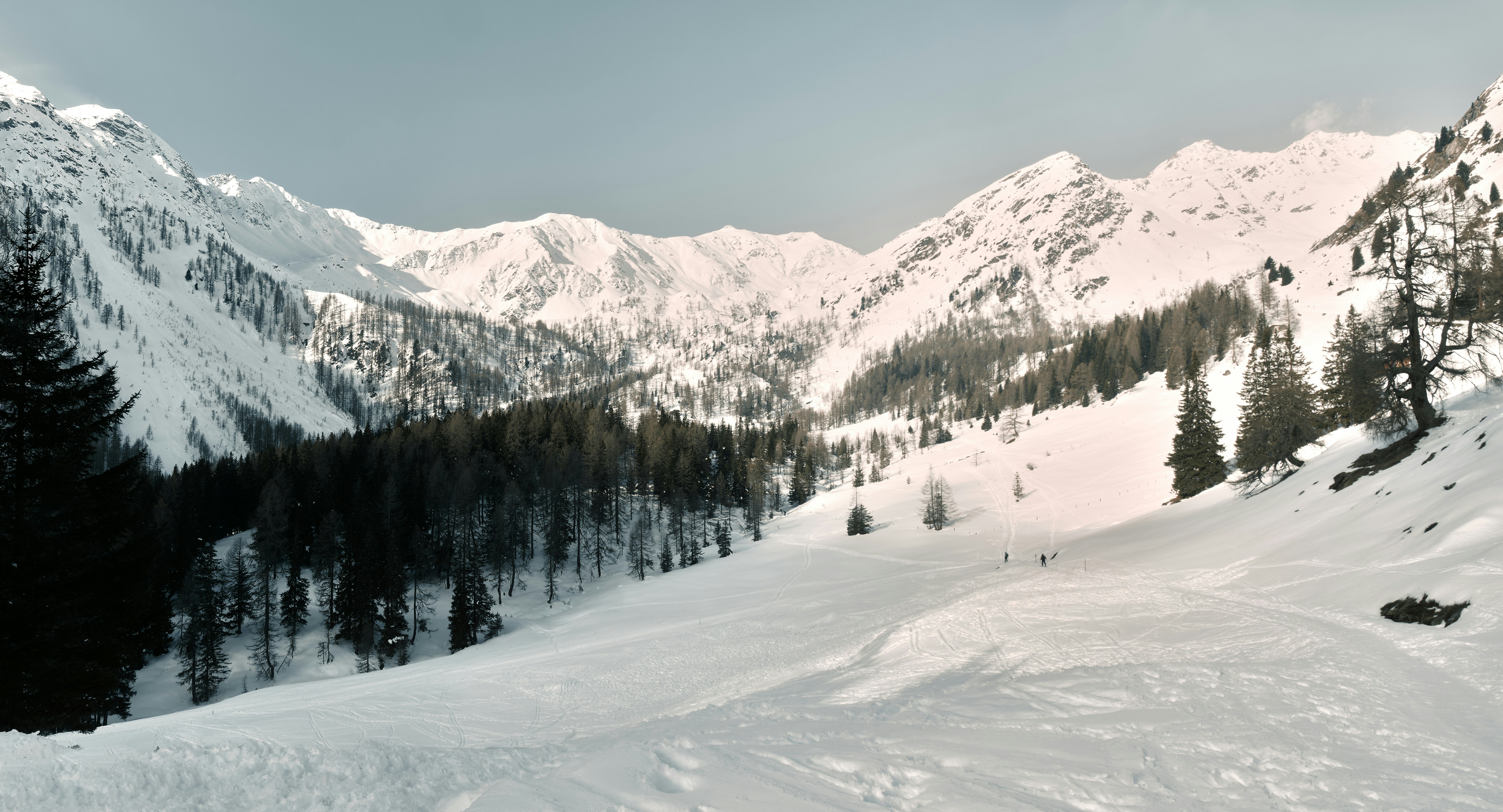 Photo by simon_berger